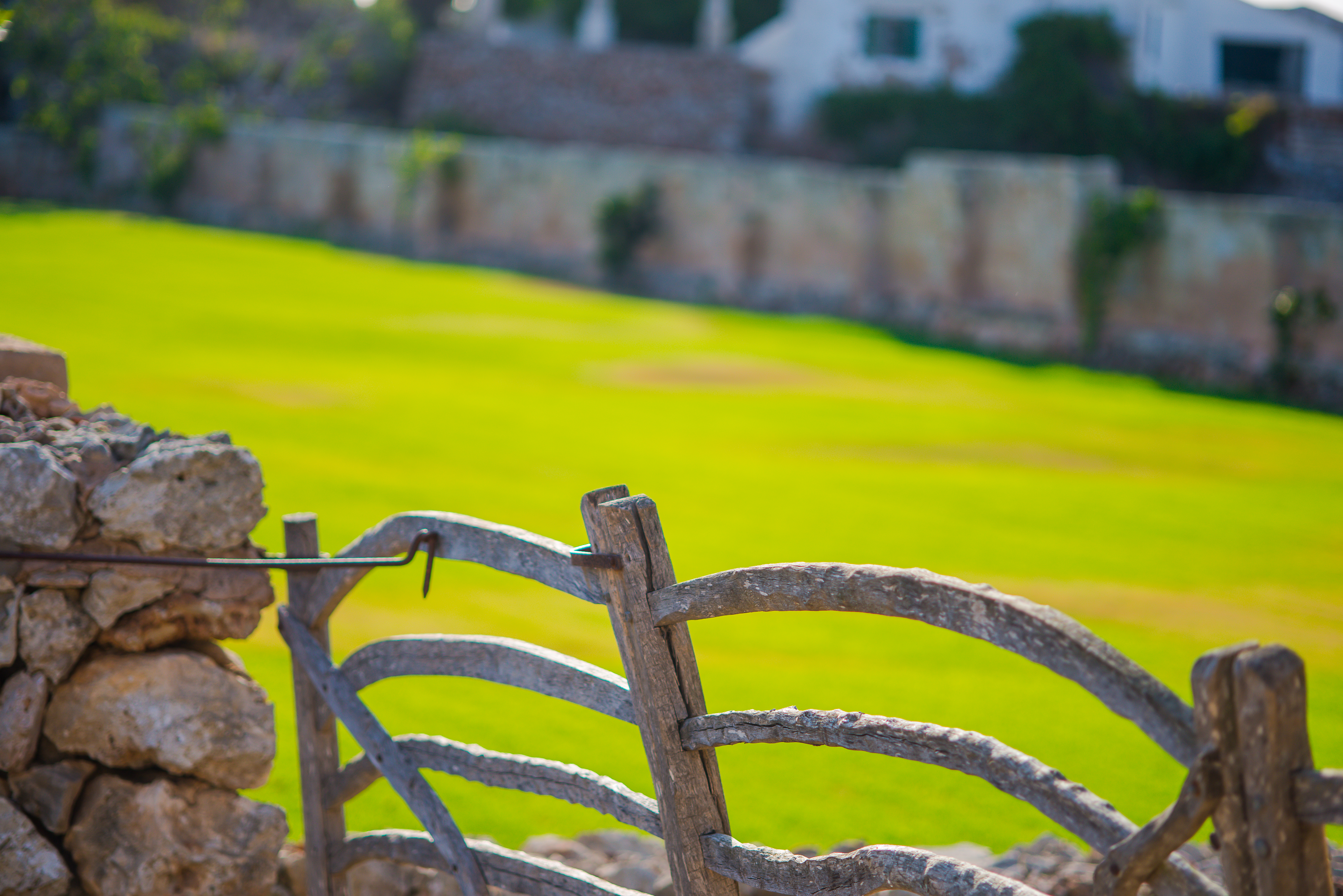 Sant Joan de Binissaida