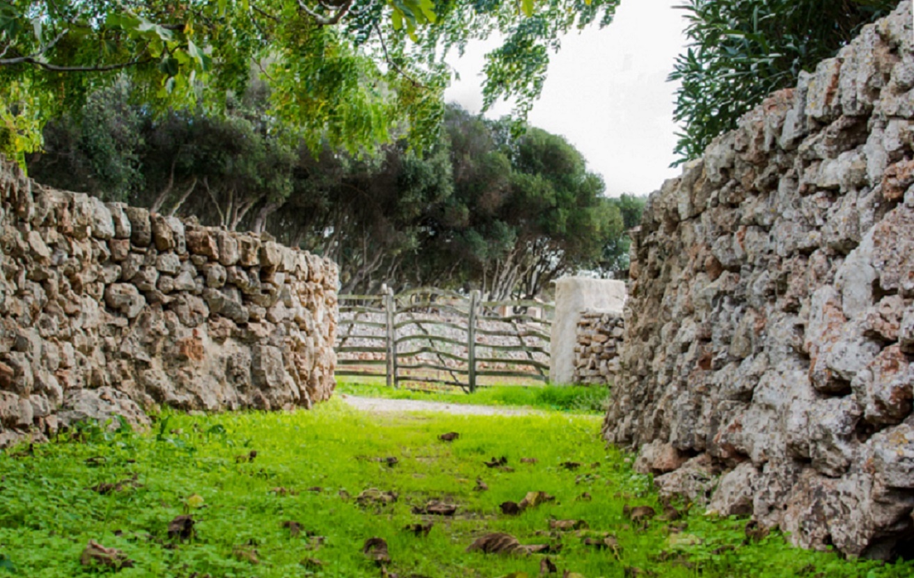 Sant Joan de Binissaida