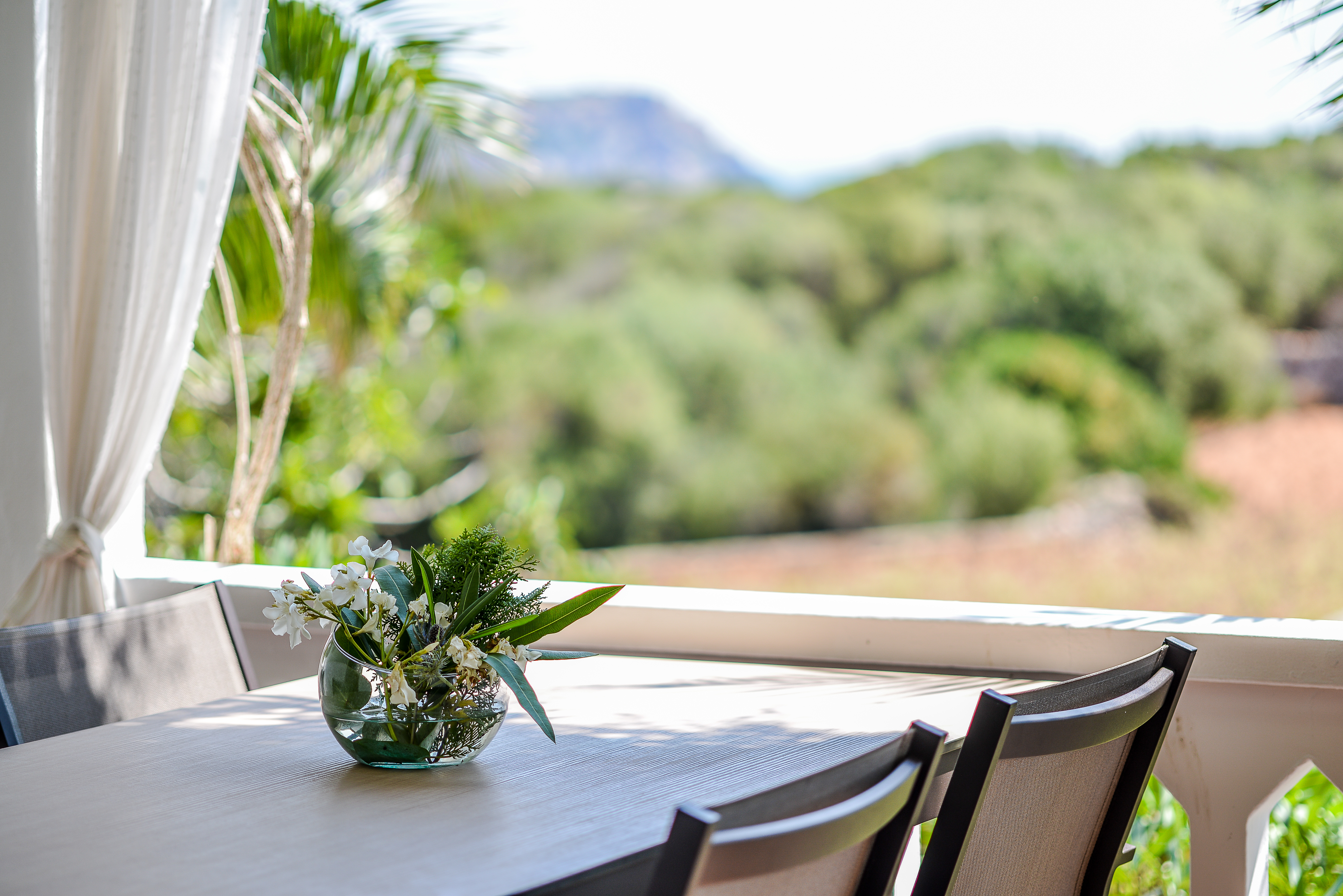 Sant Joan de Binissaida