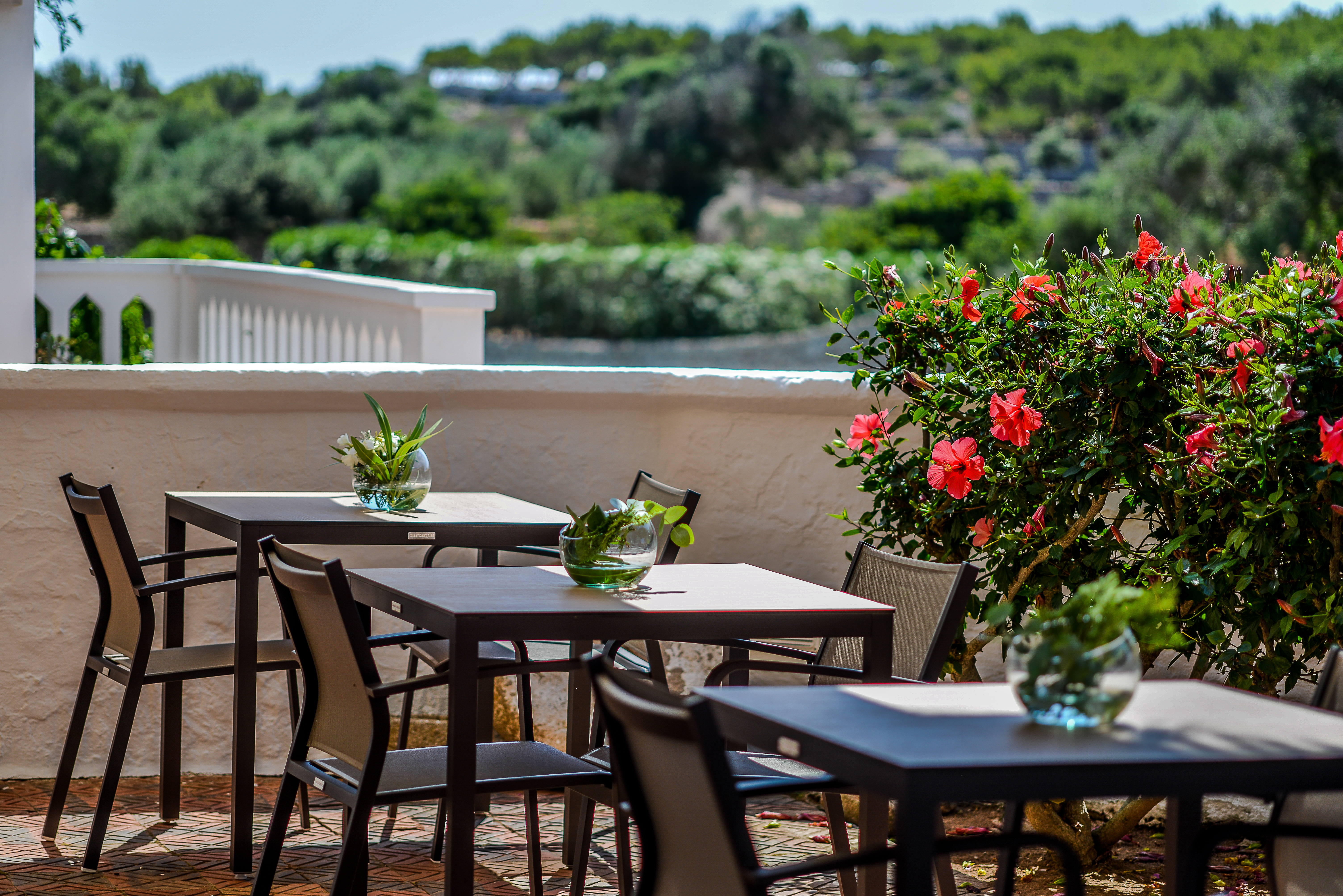 Sant Joan de Binissaida