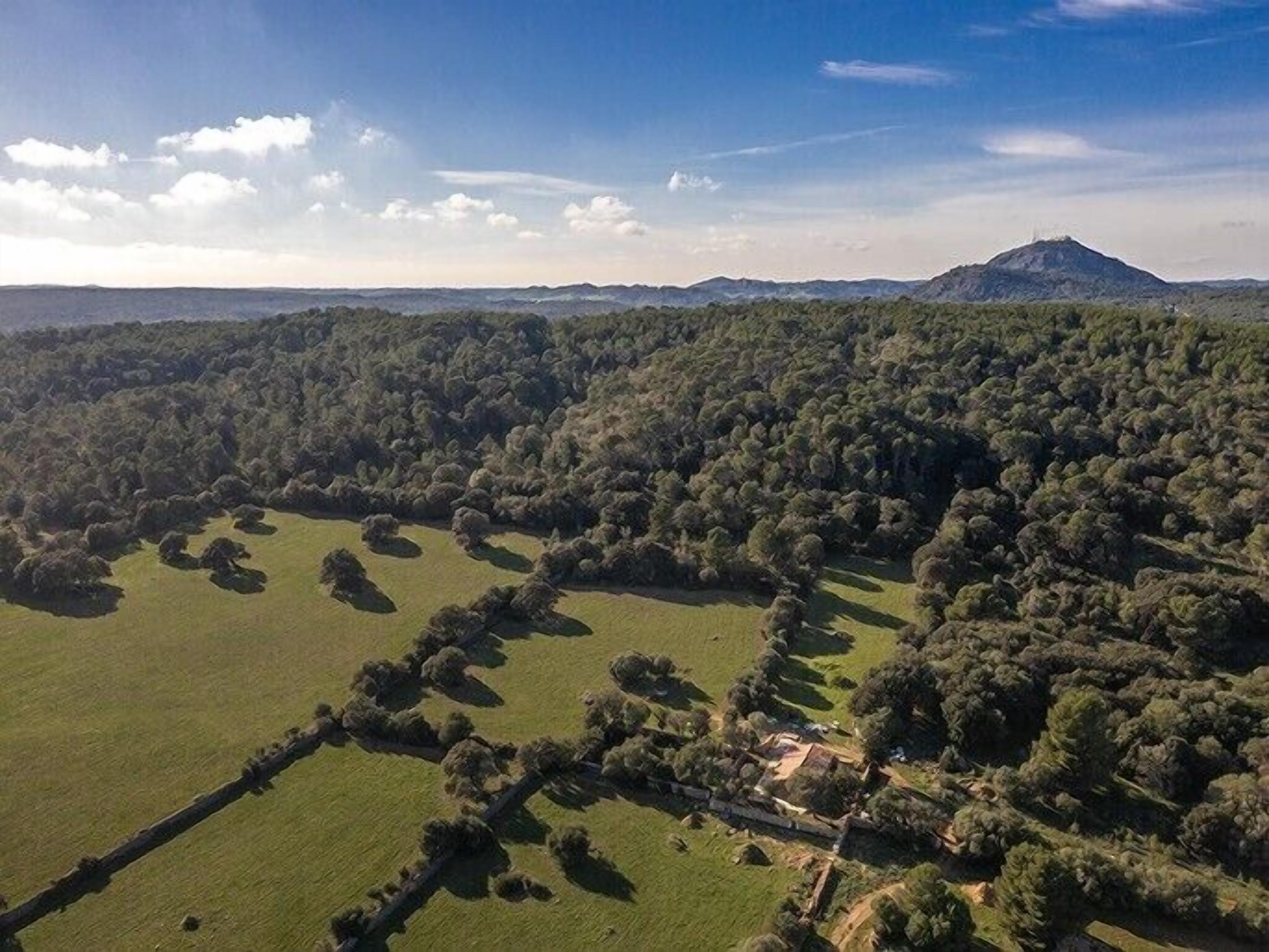 Alcotx Country Club
