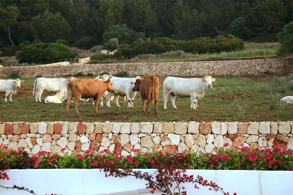 Rusticae Agroturismo Finca Atalis