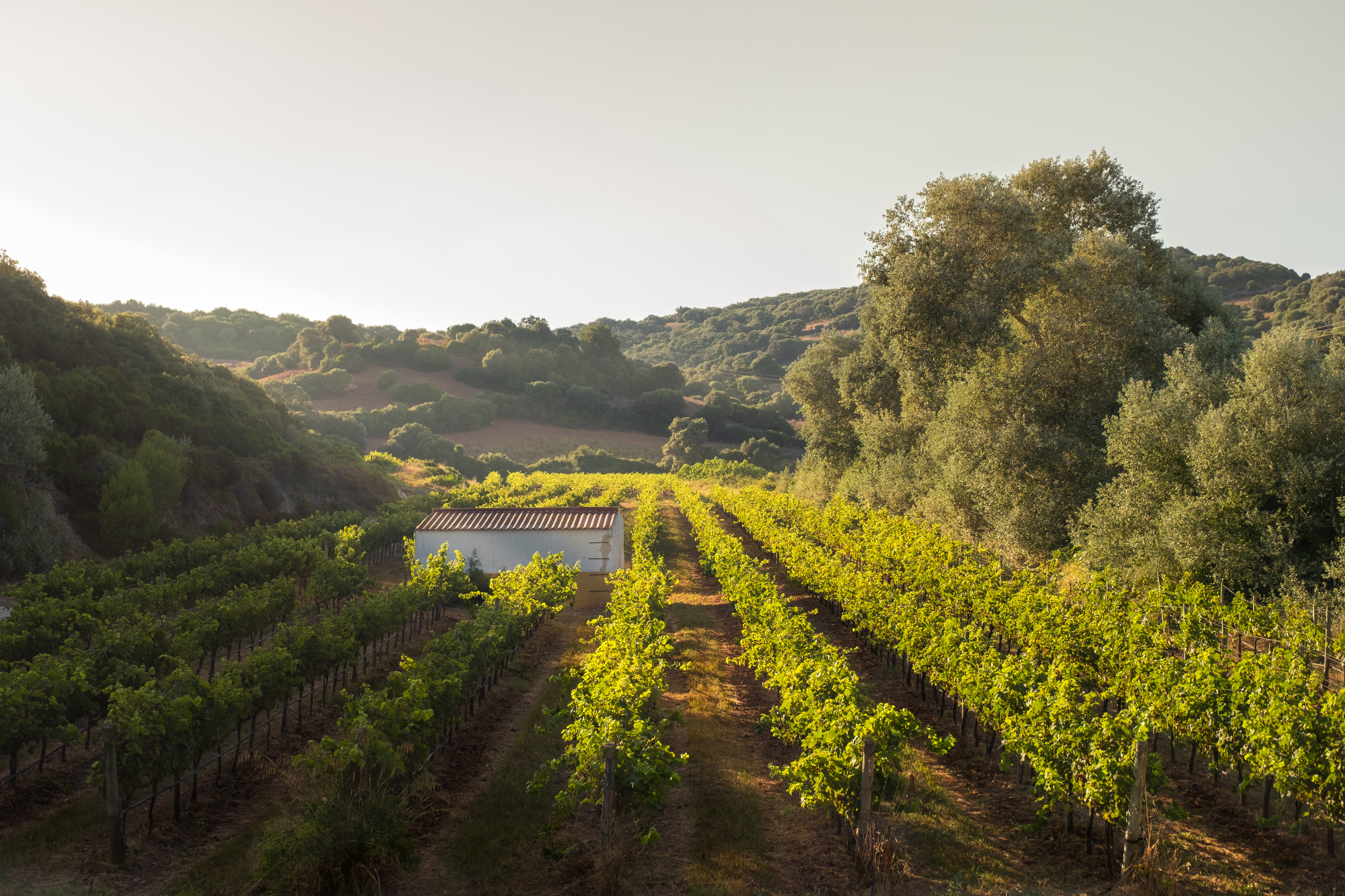 Agroturismo Ca Na Xini