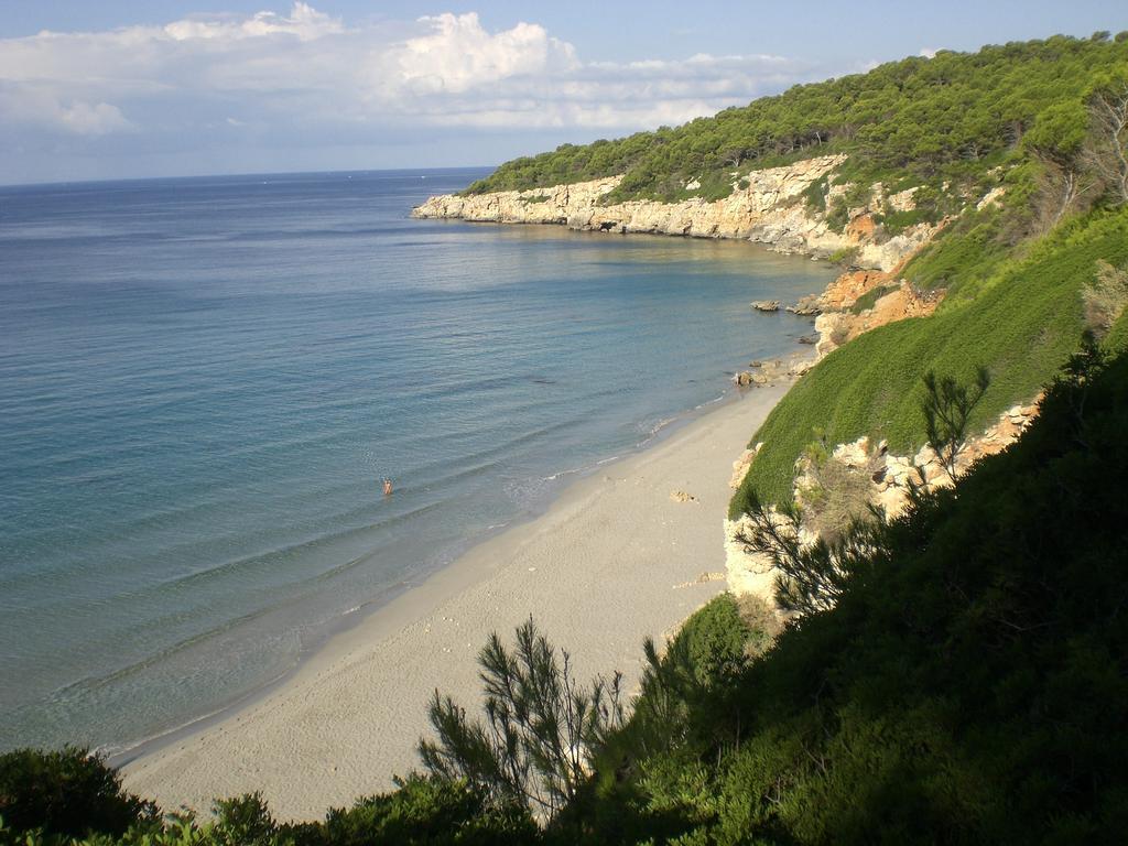 Loar Ferreries Apartments