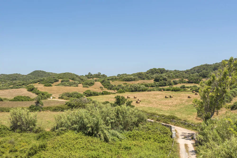 Finca Biniagorra Nou