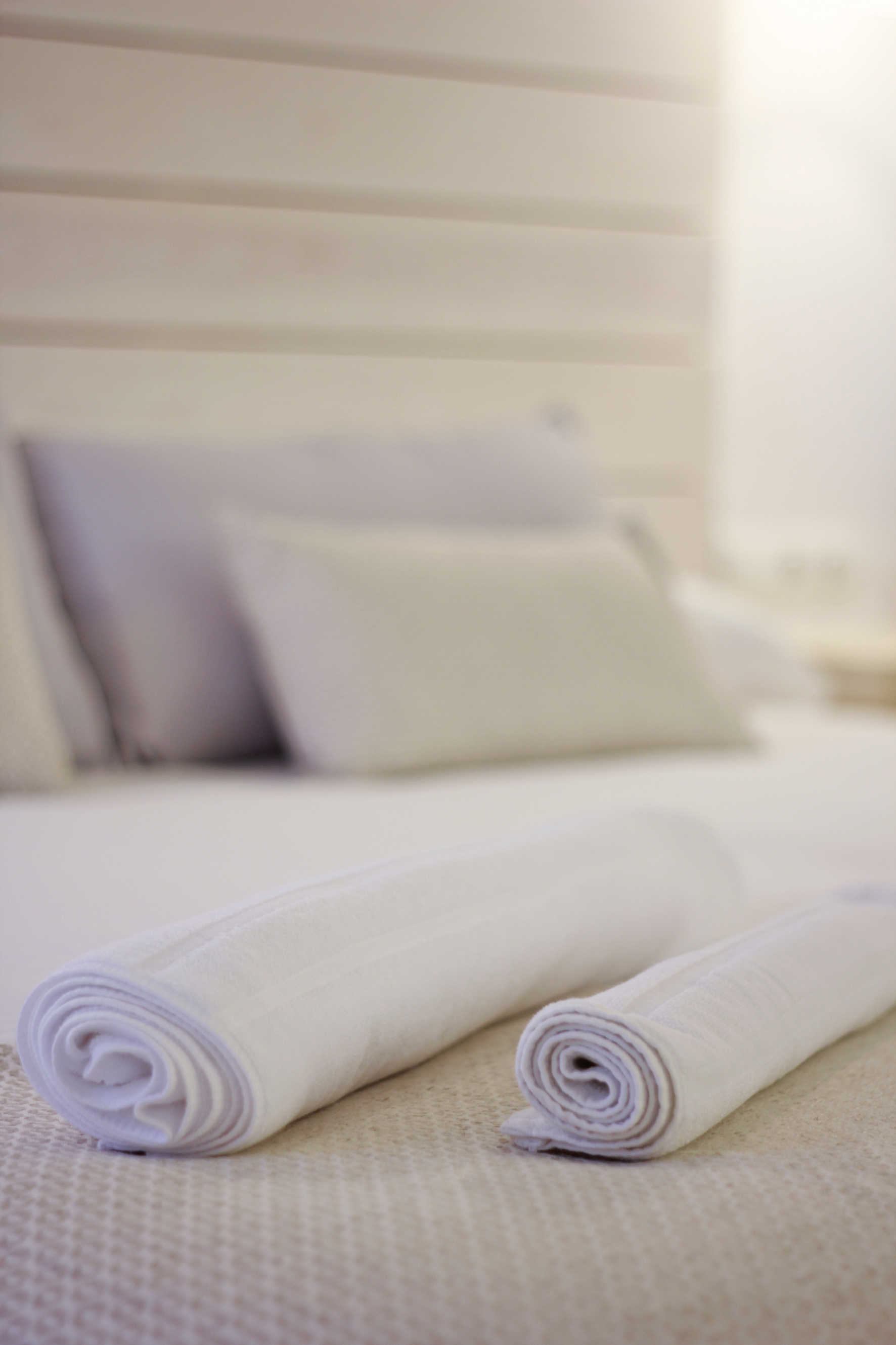 Hotel Canroca Nou