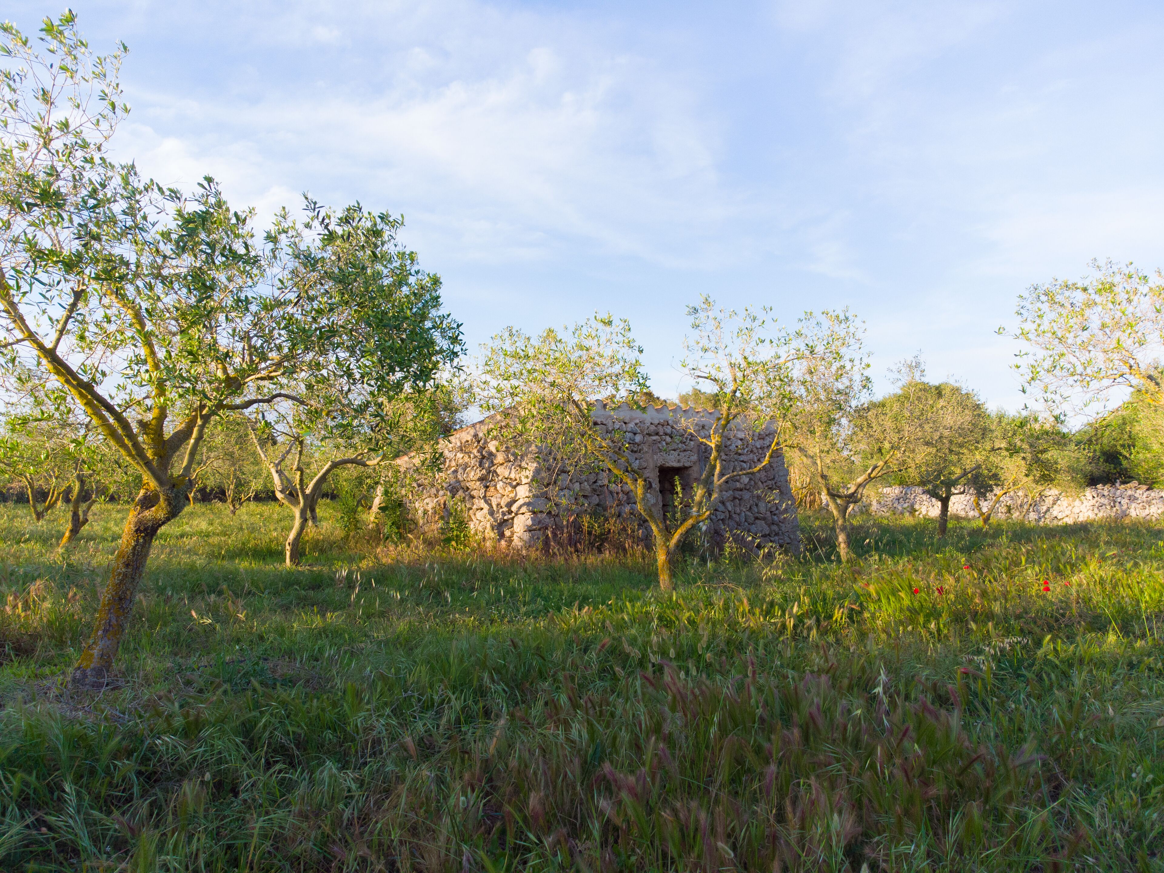 MALBUGER NOU Agroturismo