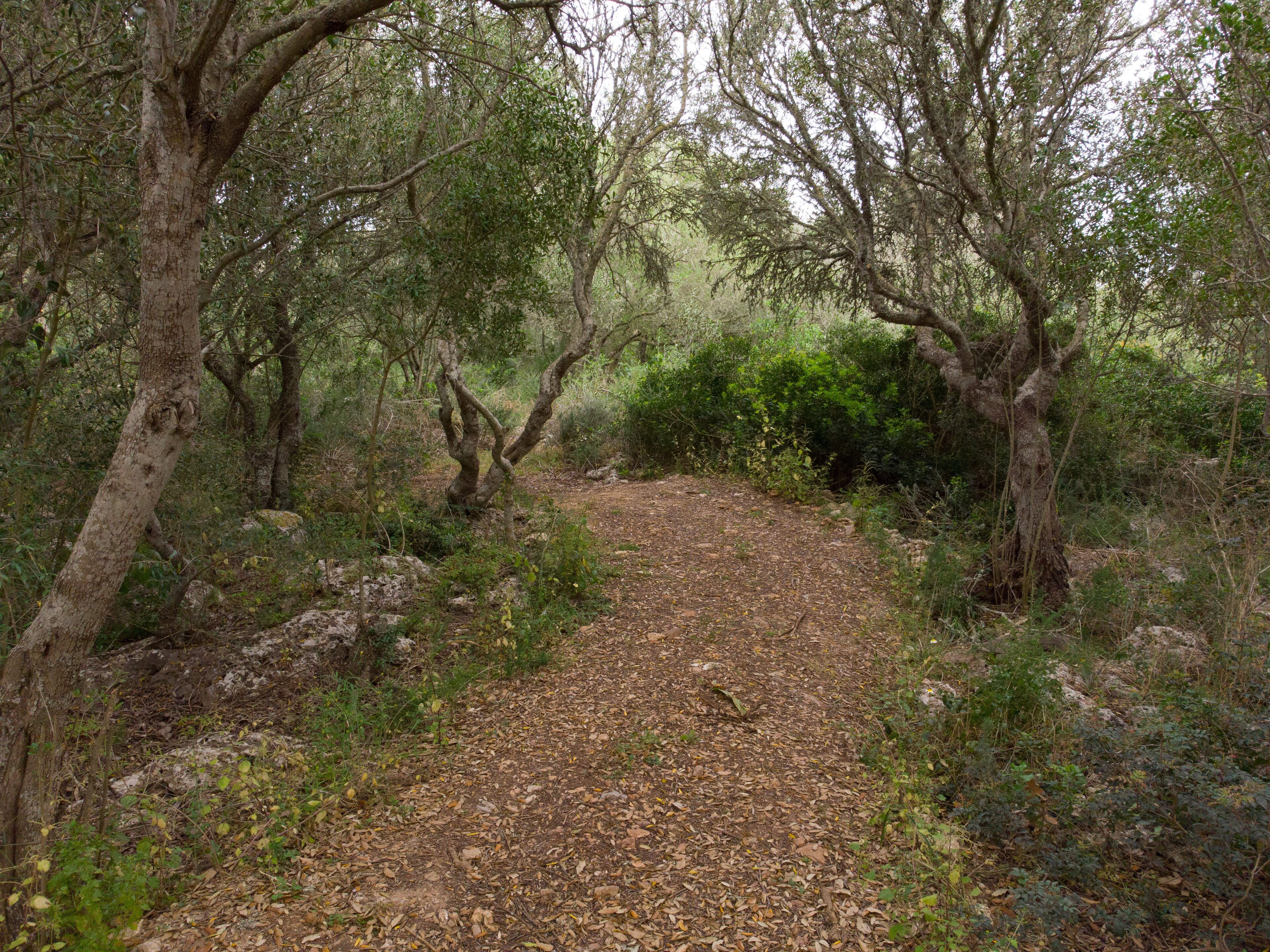 MALBUGER NOU Agroturismo