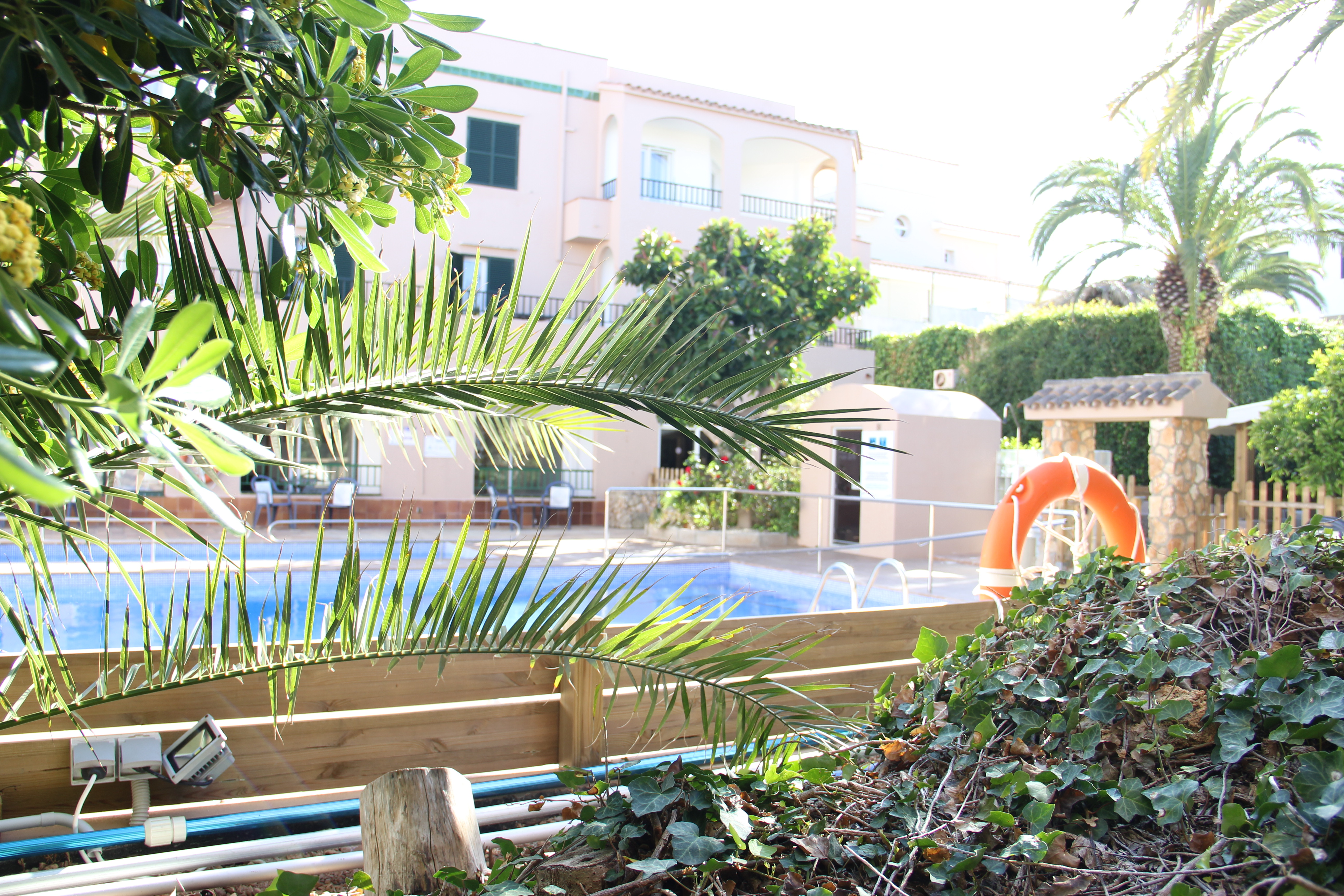 Royal Life apartamentos toristicos