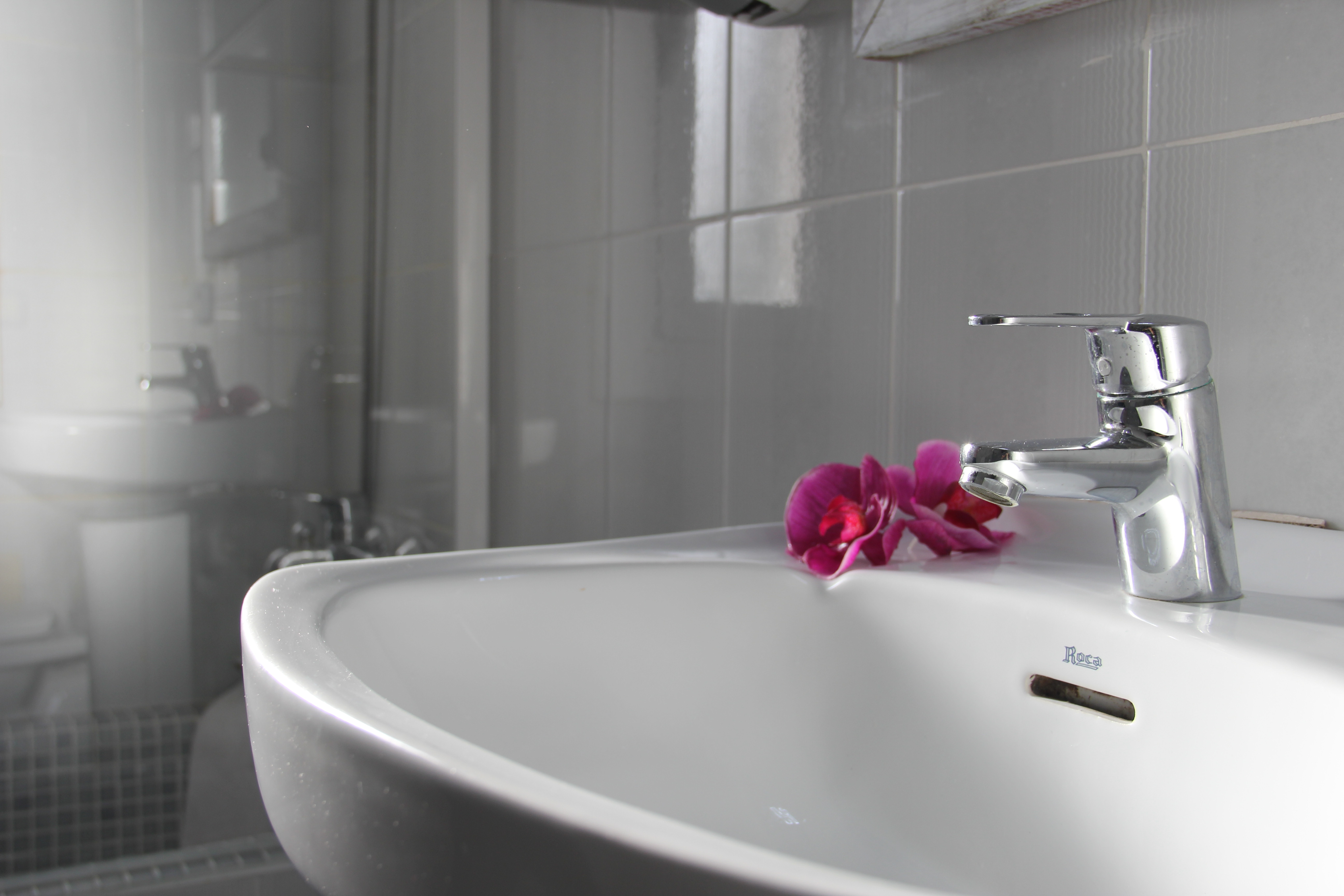 Royal Life apartamentos toristicos