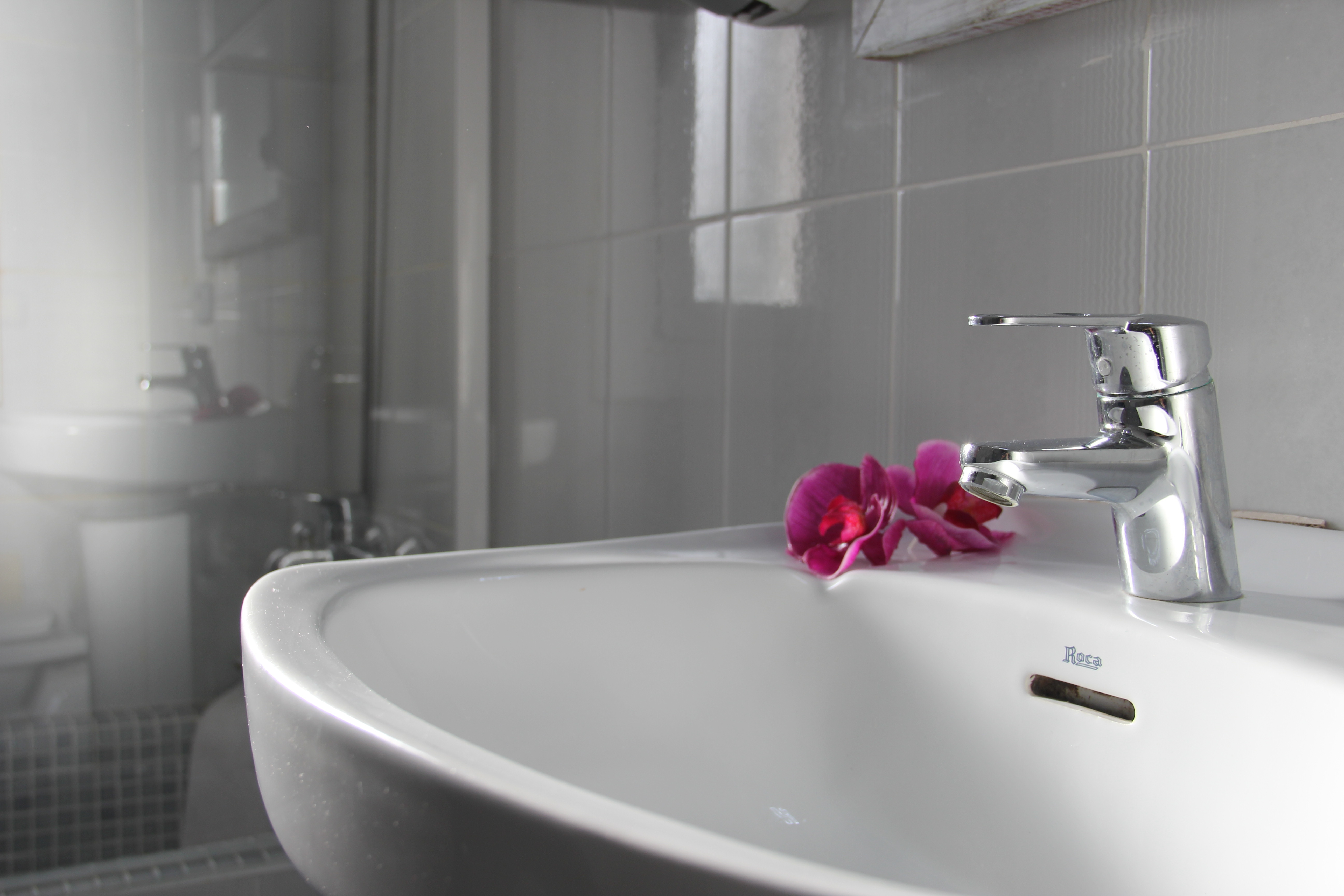 Royal Life apartamentos toristicos