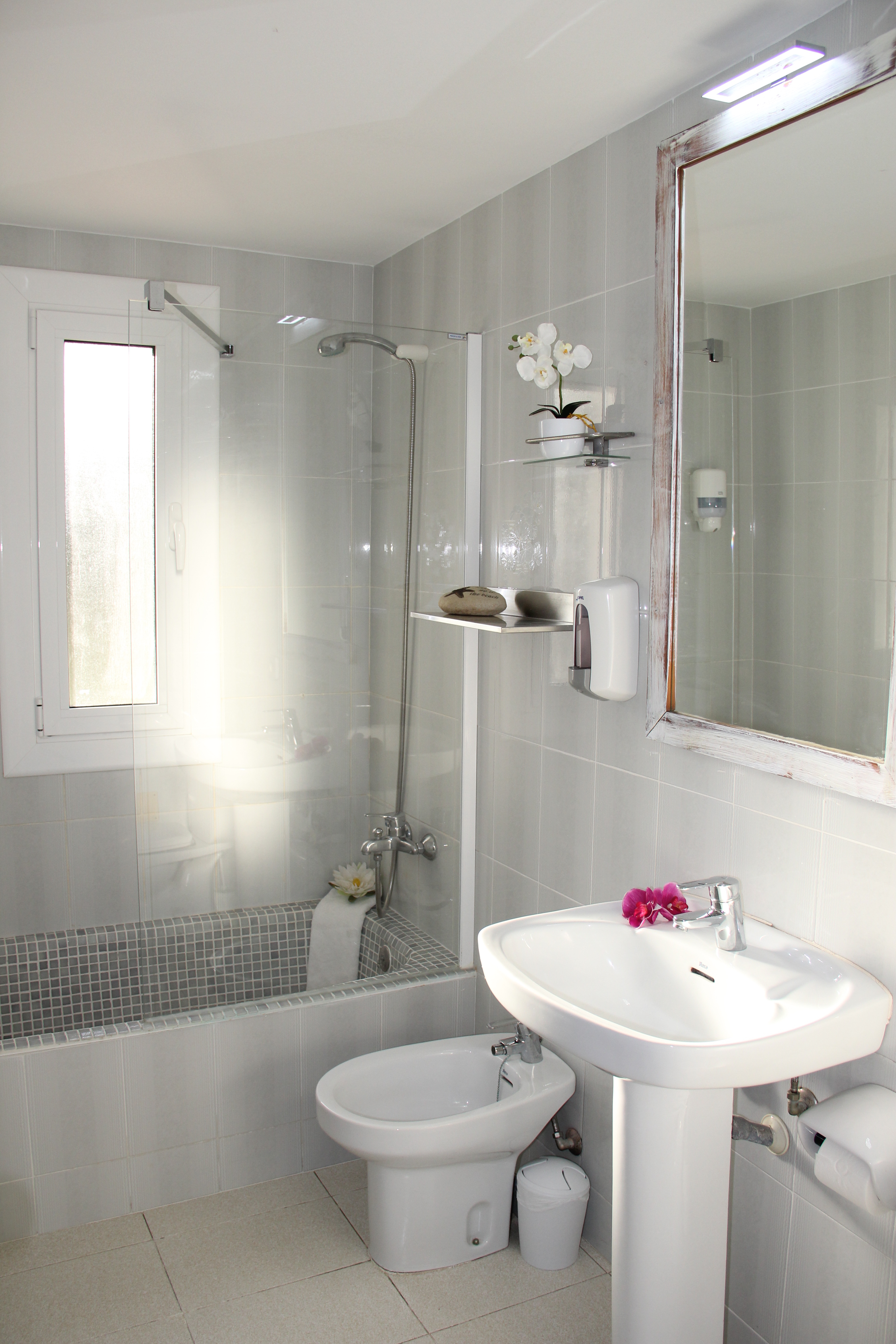 Royal Life apartamentos toristicos