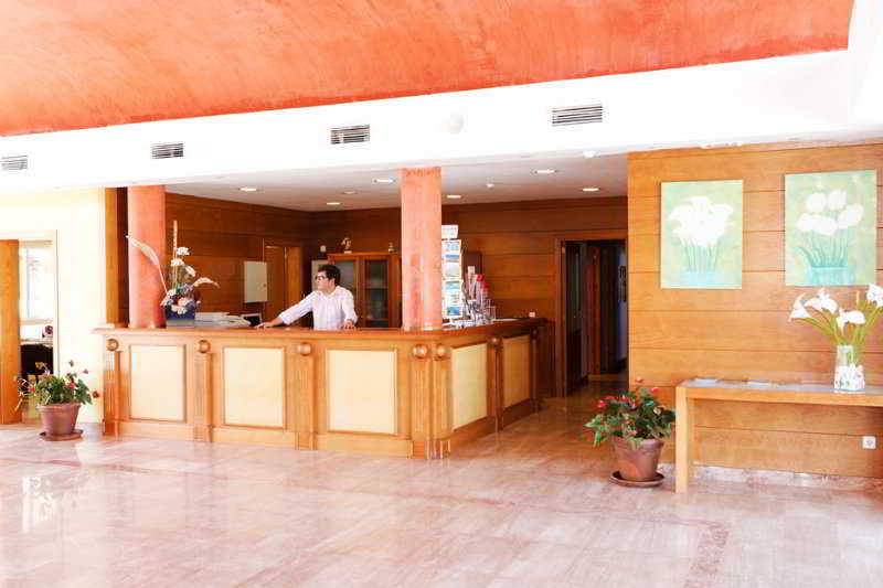 Comitas Isla del Aire