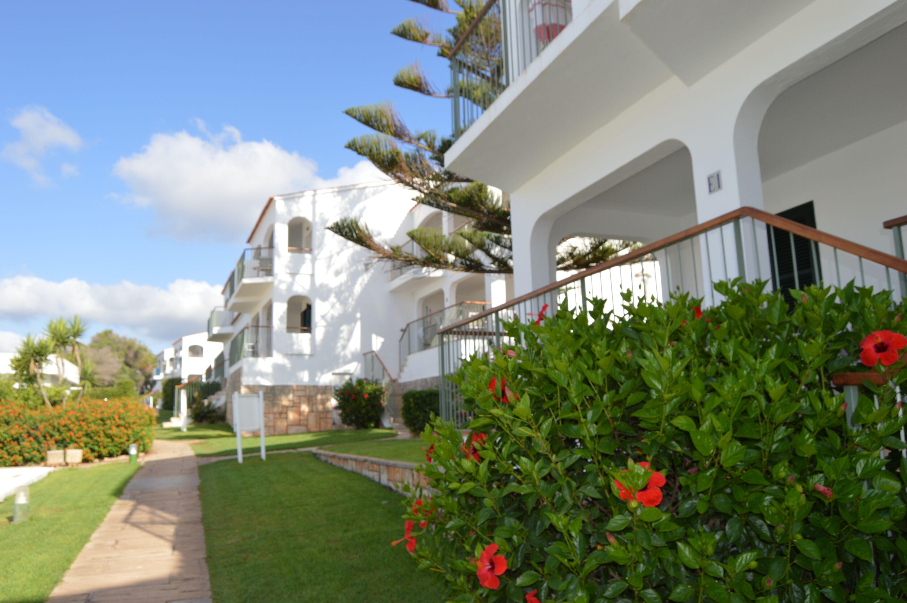 SETH Mestral & Llebeig