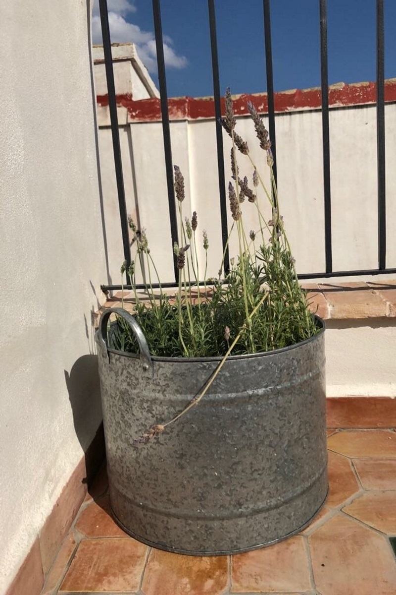 Círculo Artístico 1911 Hotel Boutique