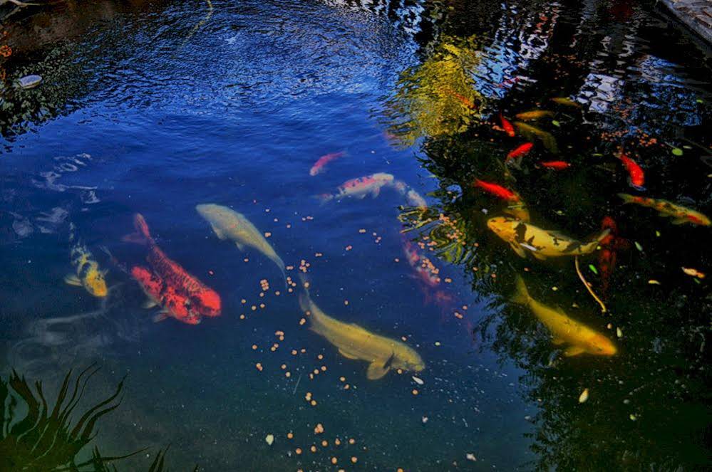 Casas Rurales El Viejo Establo