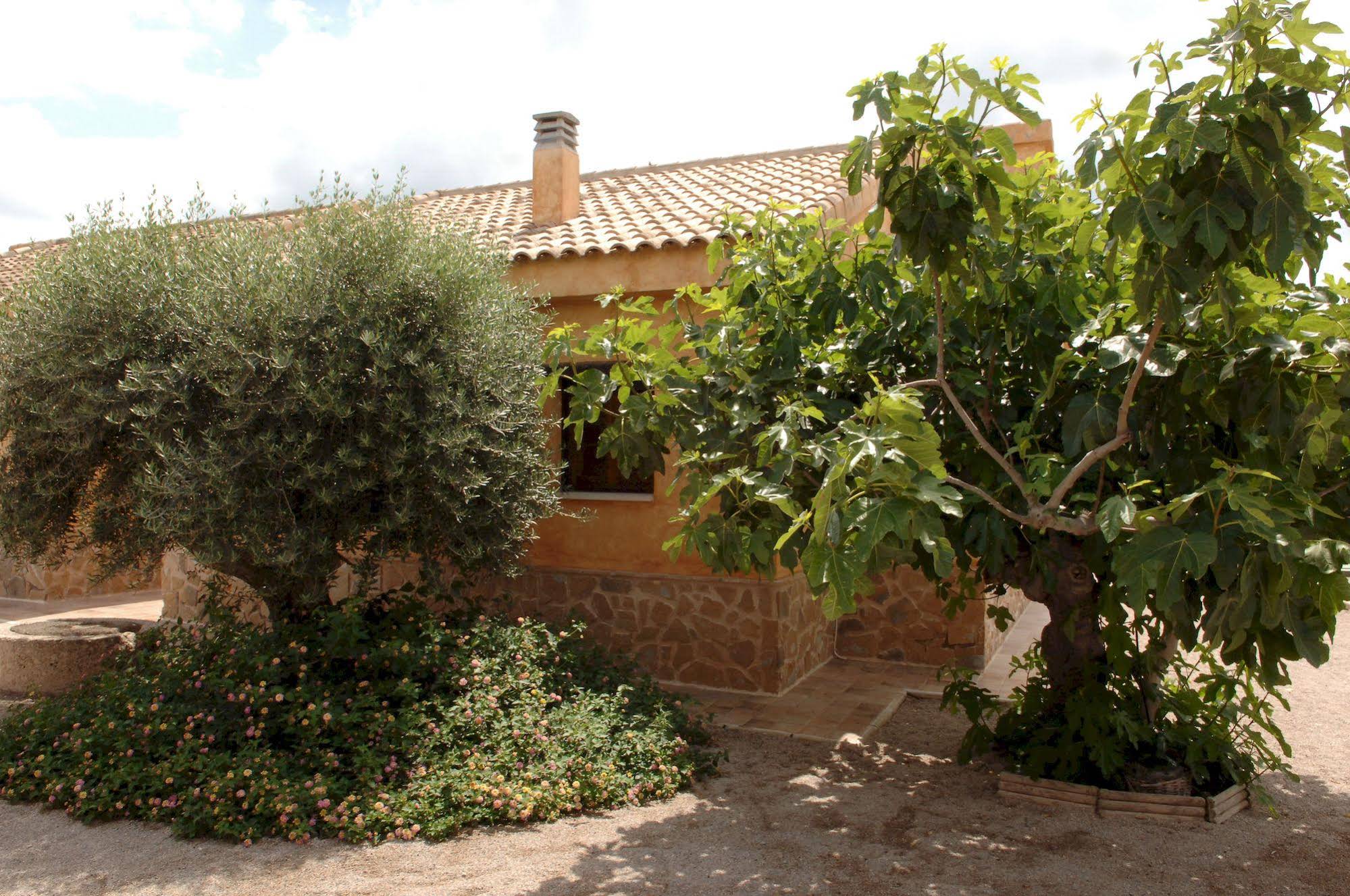 Casas Rurales El Viejo Establo