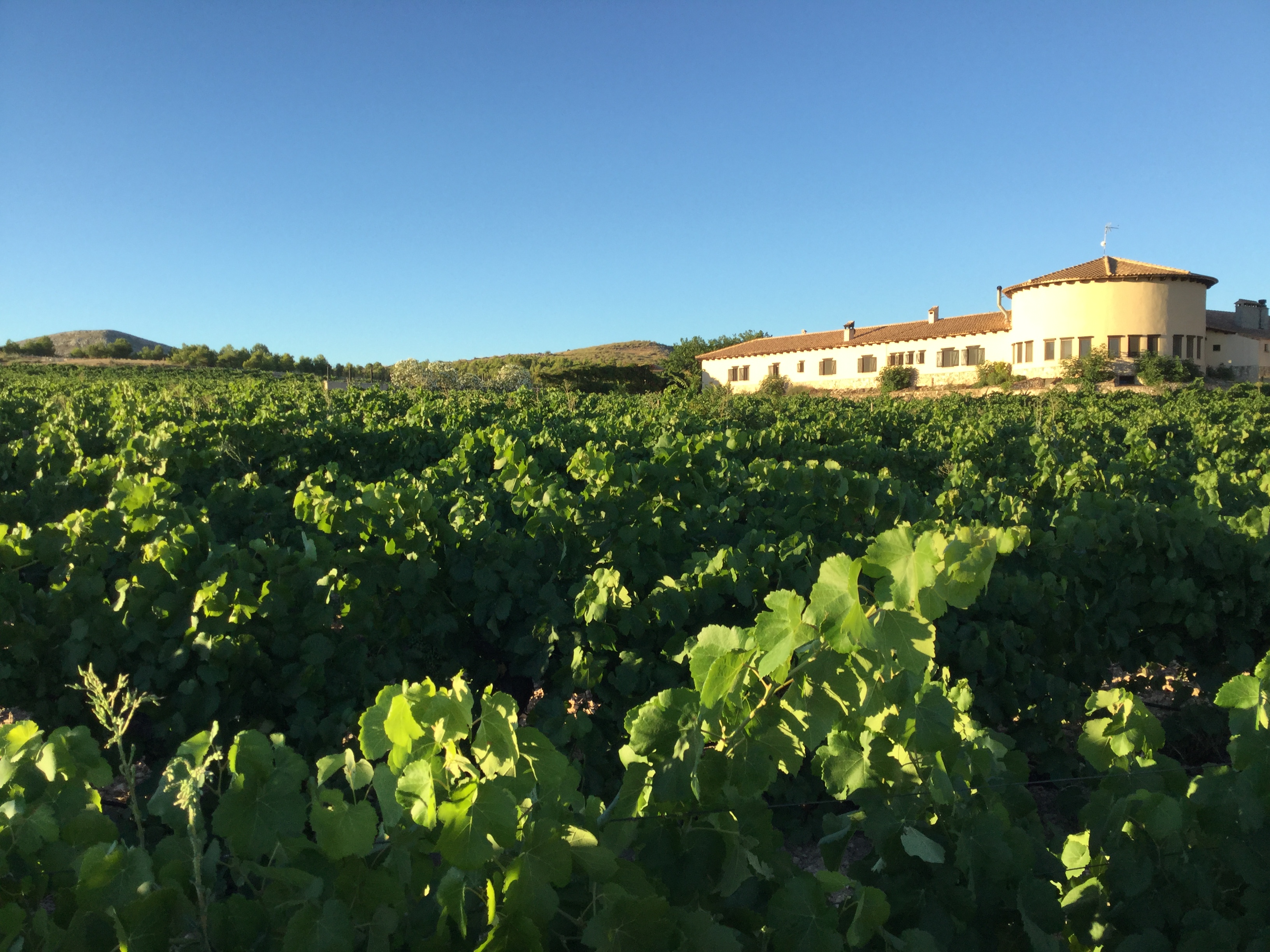 Hotel Spa Enoturismo Mainetes