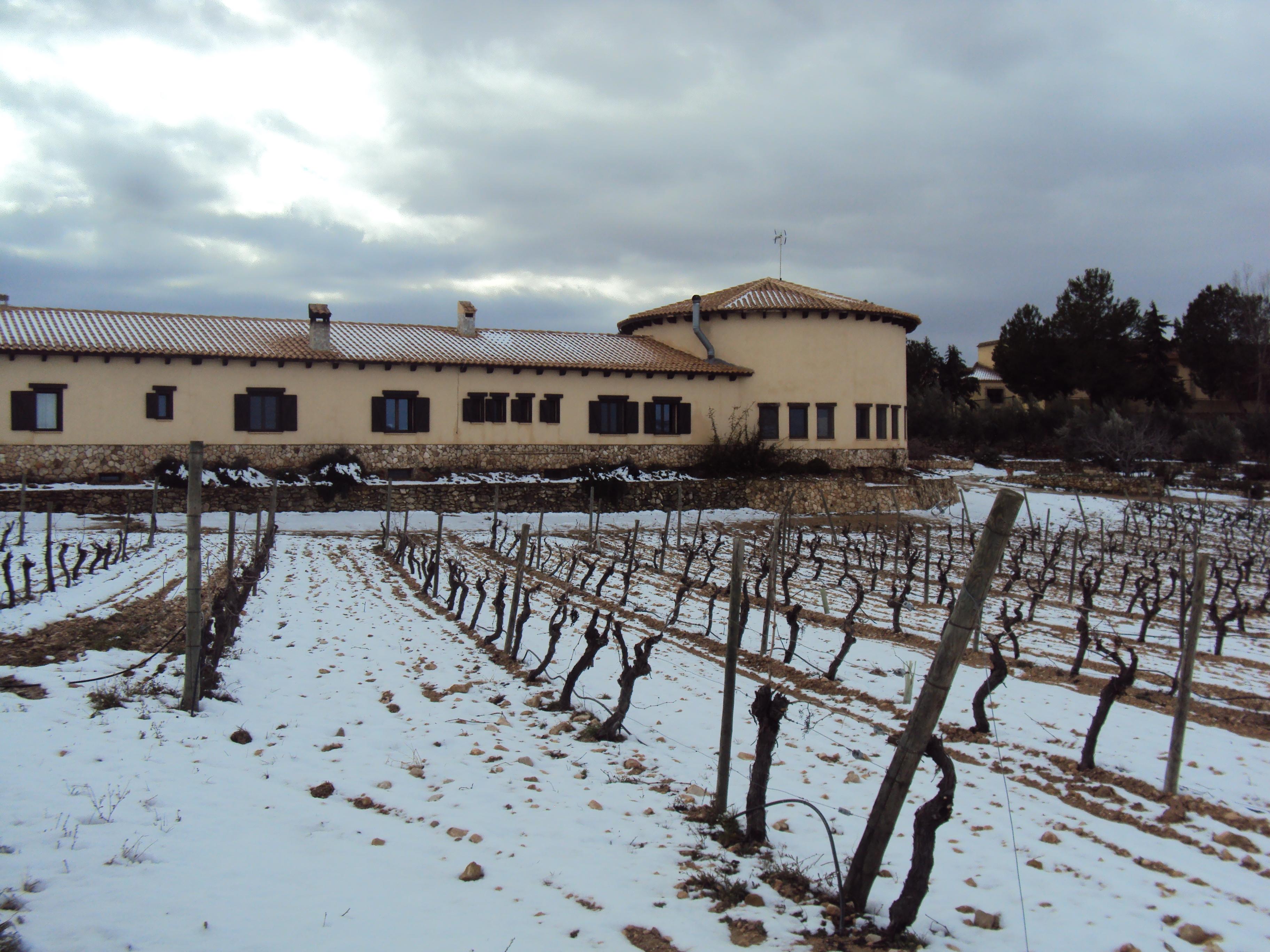 Hotel Spa Enoturismo Mainetes