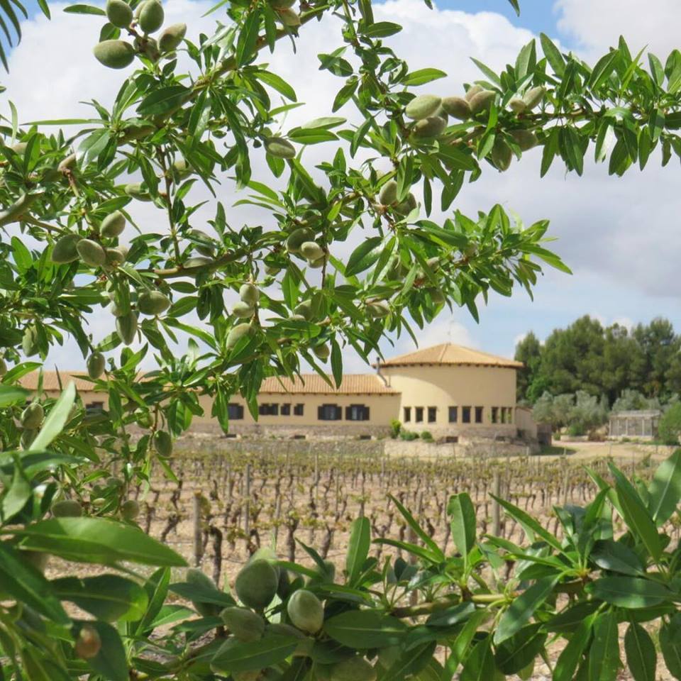 Hotel Spa Enoturismo Mainetes