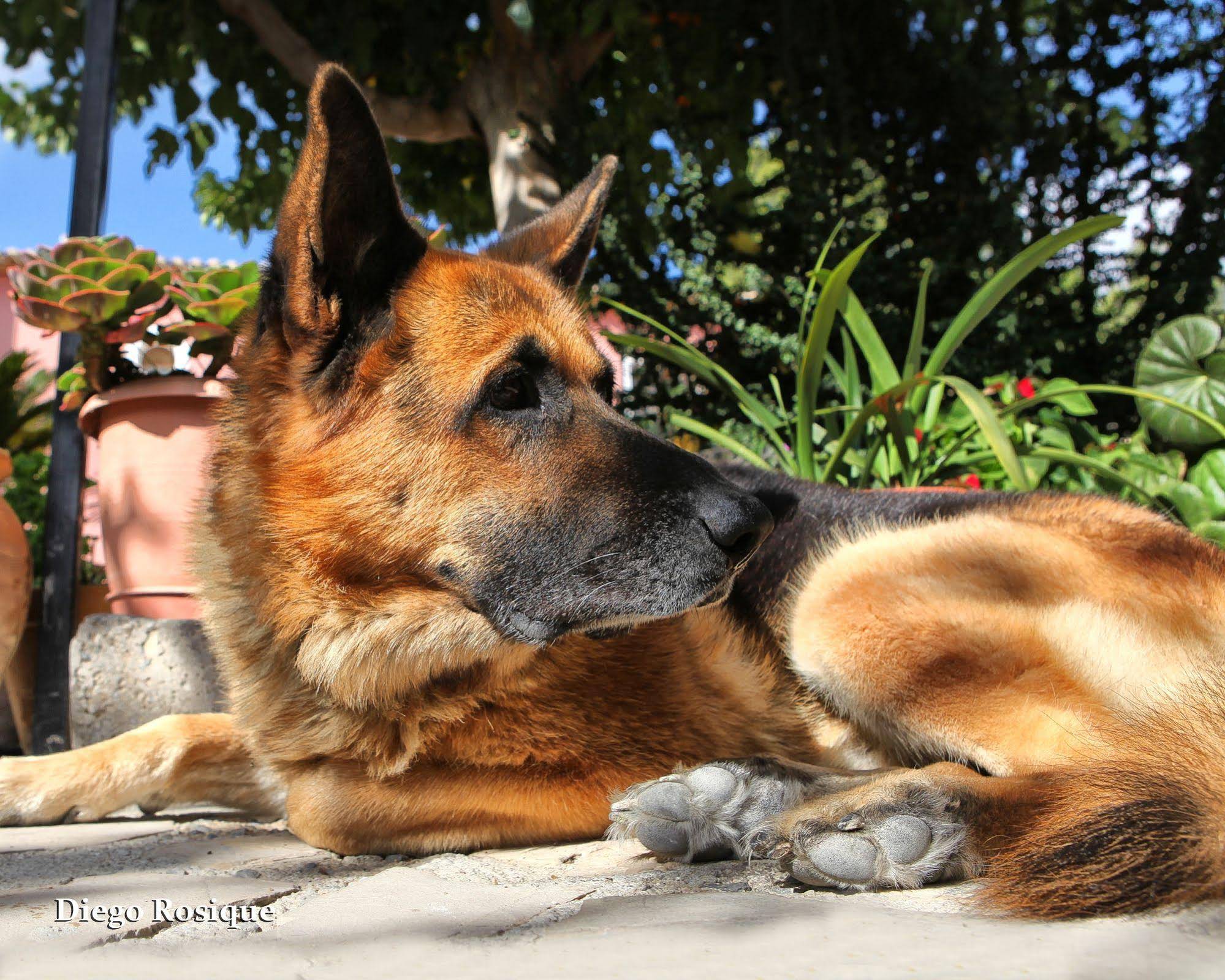 Hotel Hospedería Rural El Molino de Felipe