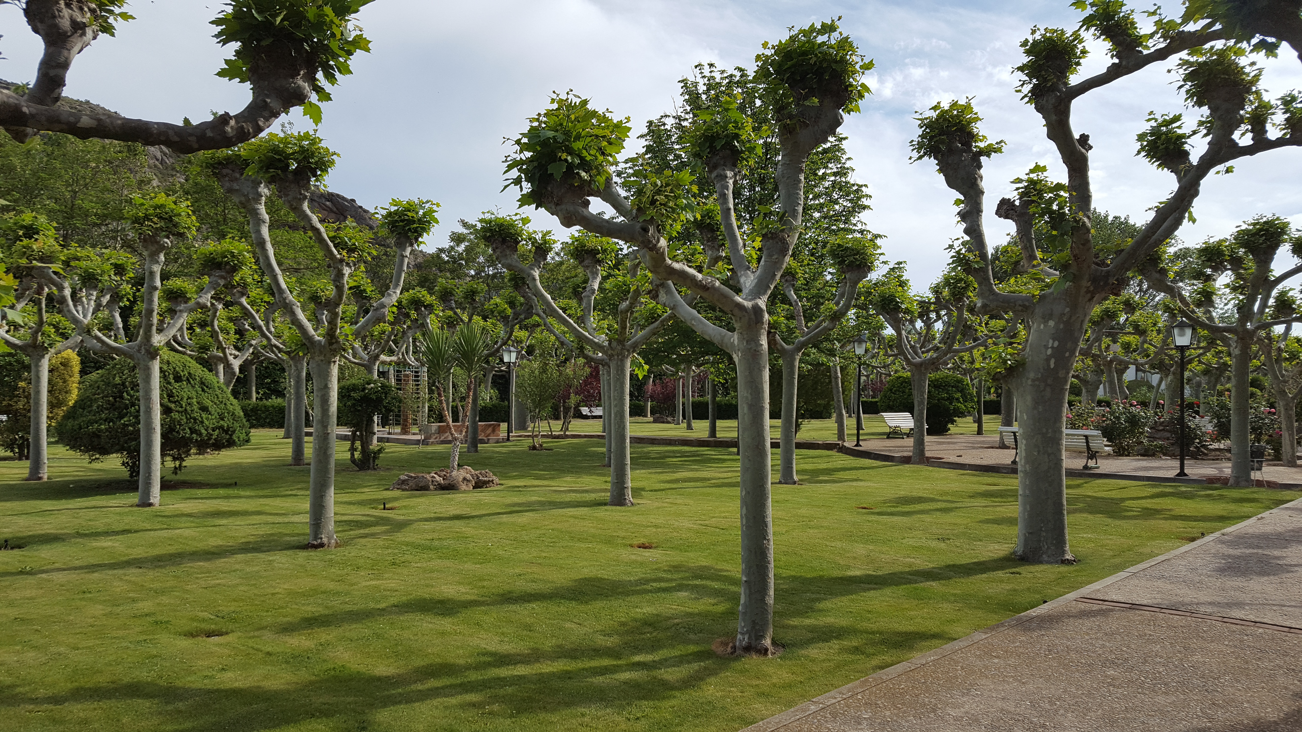 Balneario Baños de Fitero