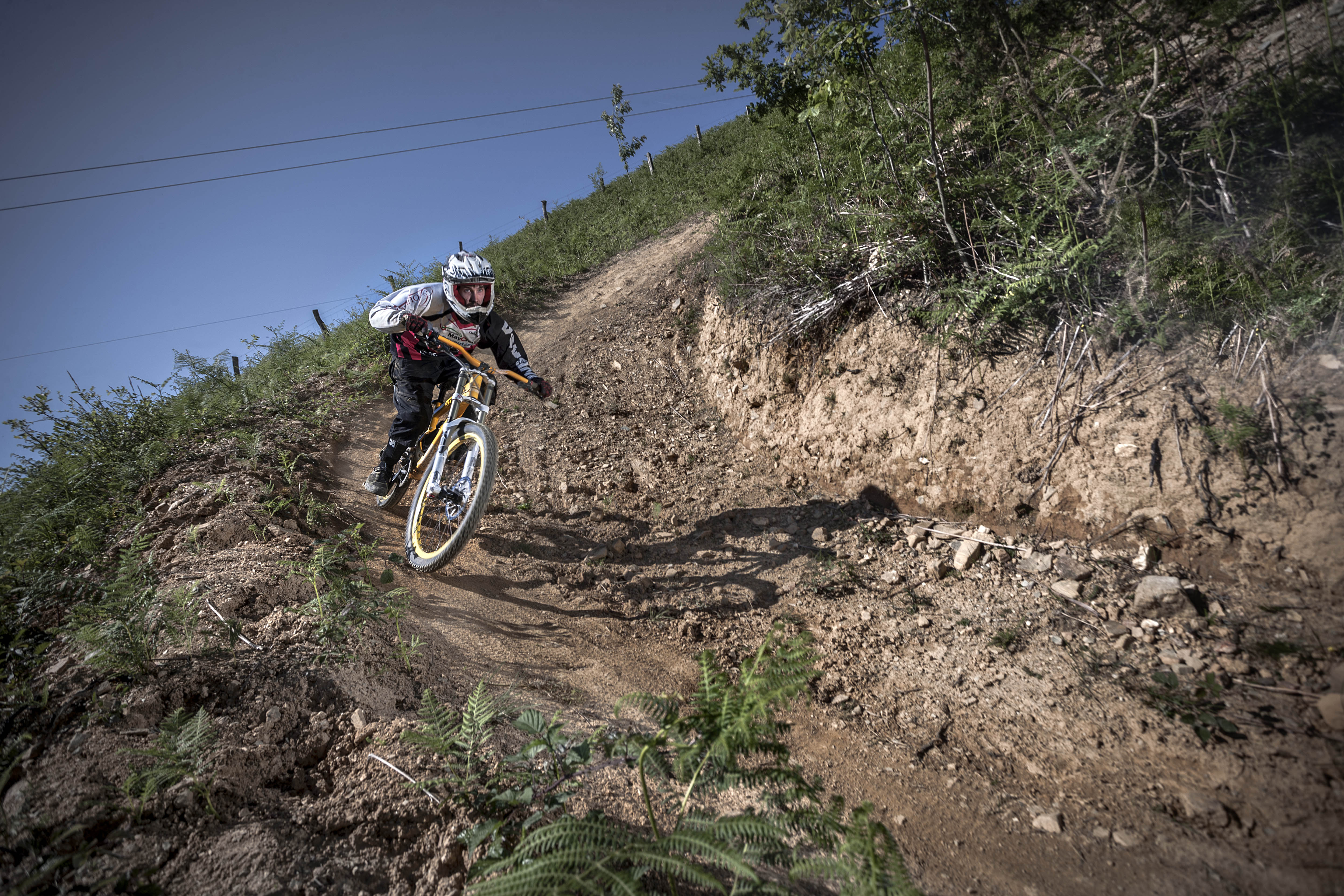 Cabanas Deluxe Basajaun Basoa by IrriSarri Land