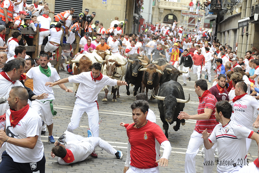 Heart of Pamplona Palace