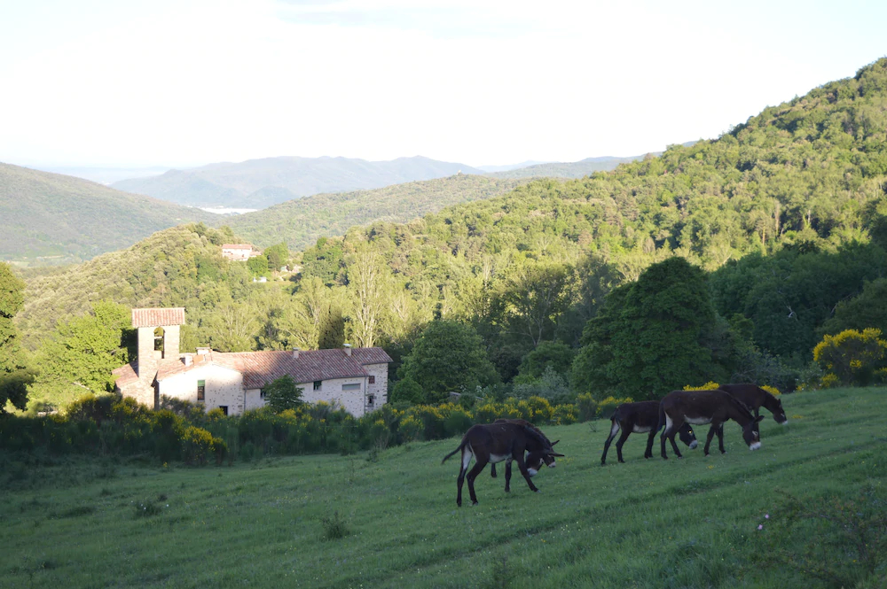 Rectory Castellar De La Muntanya