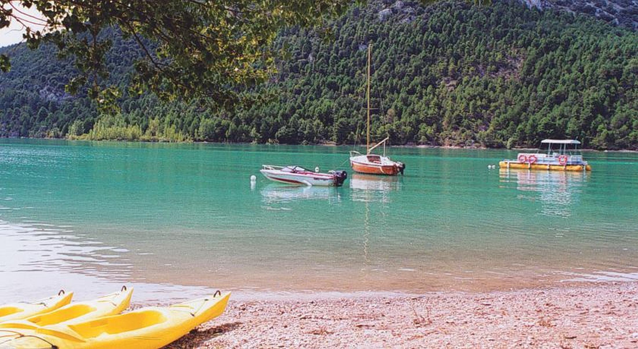 Ligüerre Enoturismo Camping & Bungalows