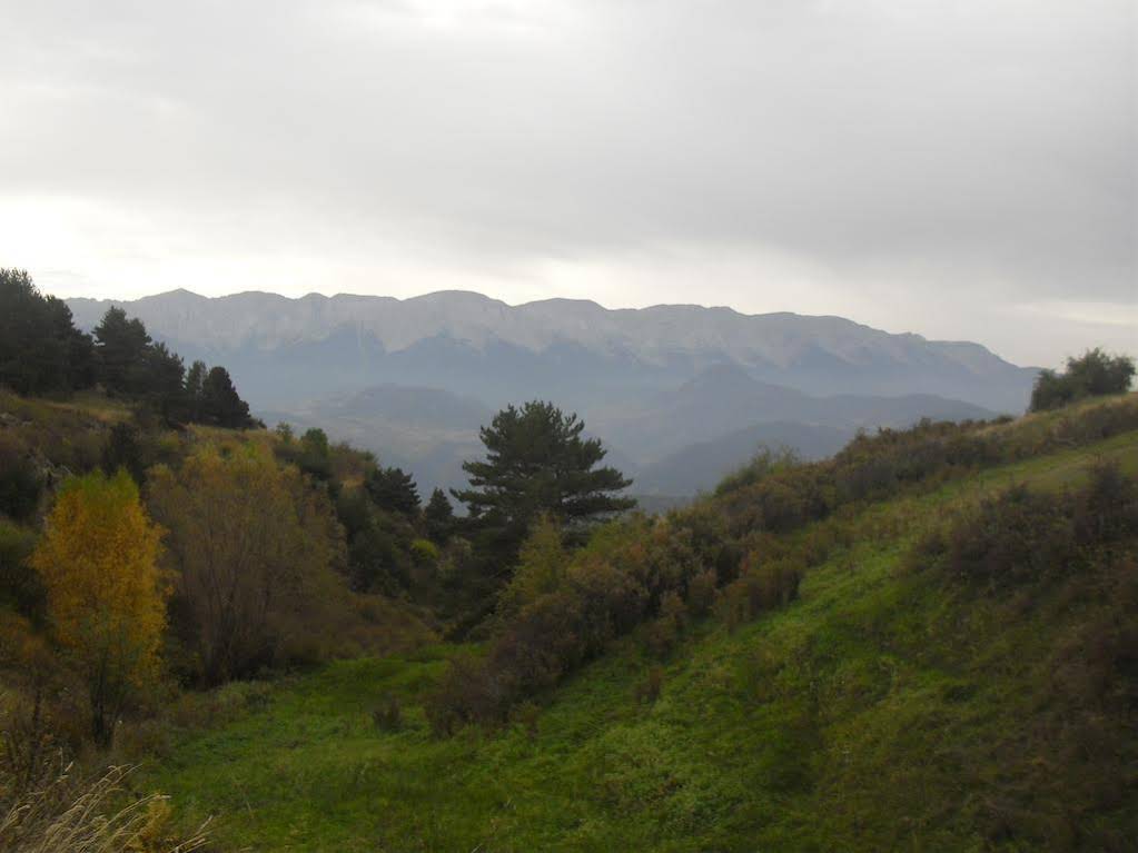 Fonda Domingo