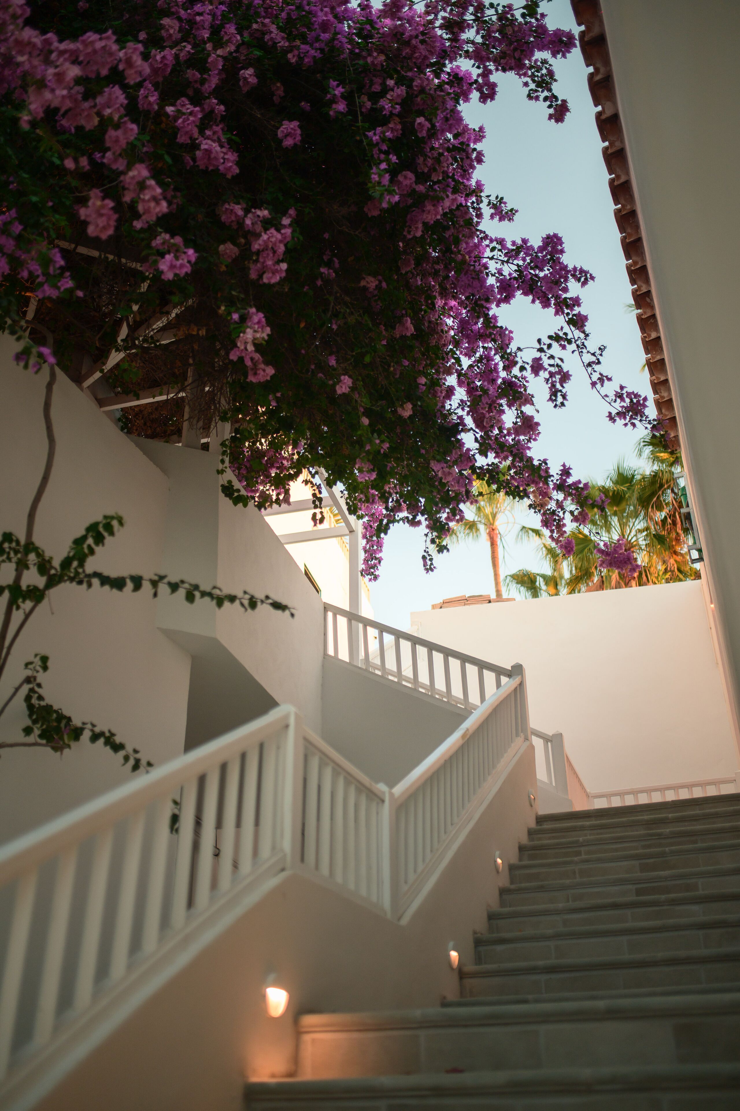 Hotel Estefanía Boutique Suites