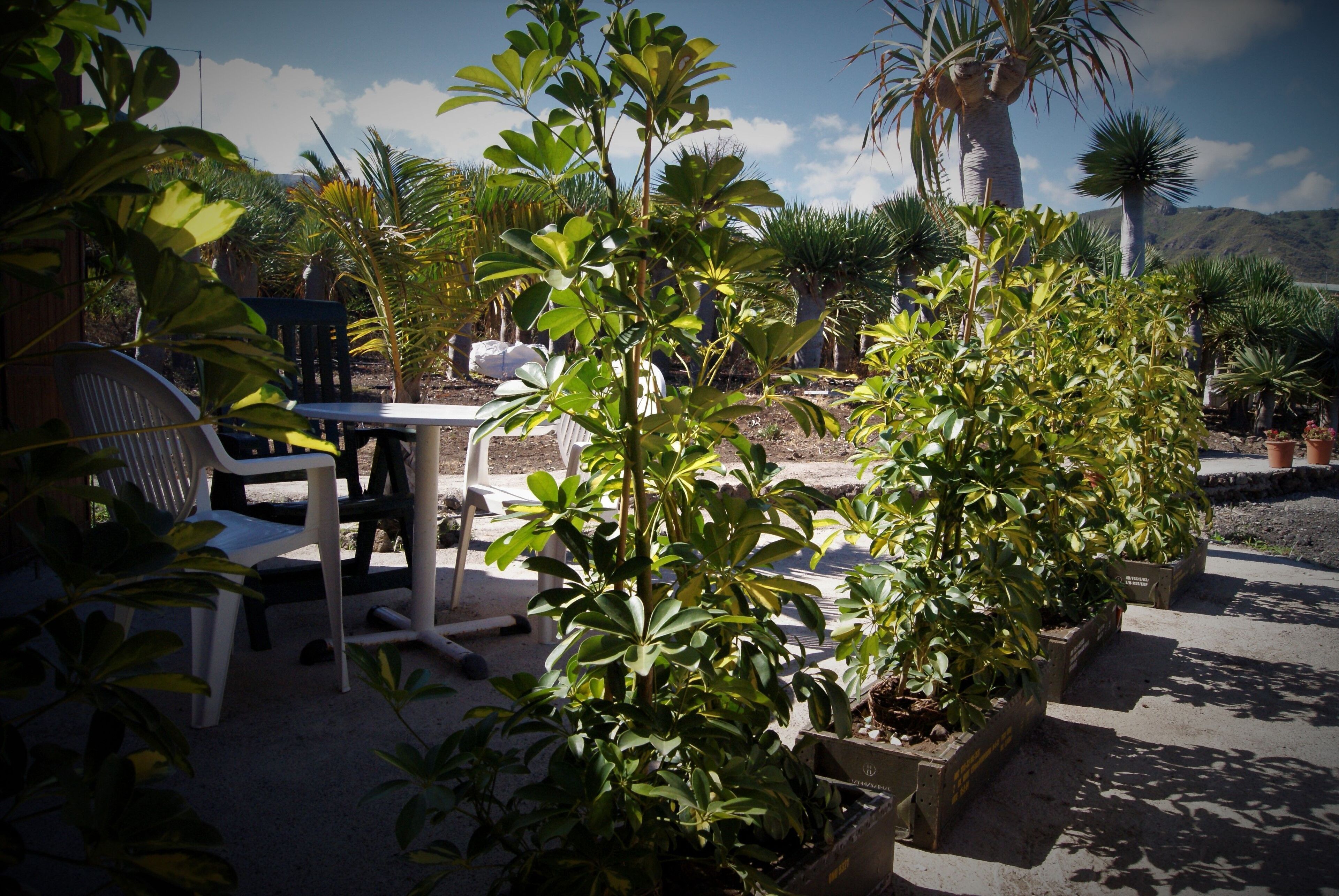 Agro-Camping Invernaderito