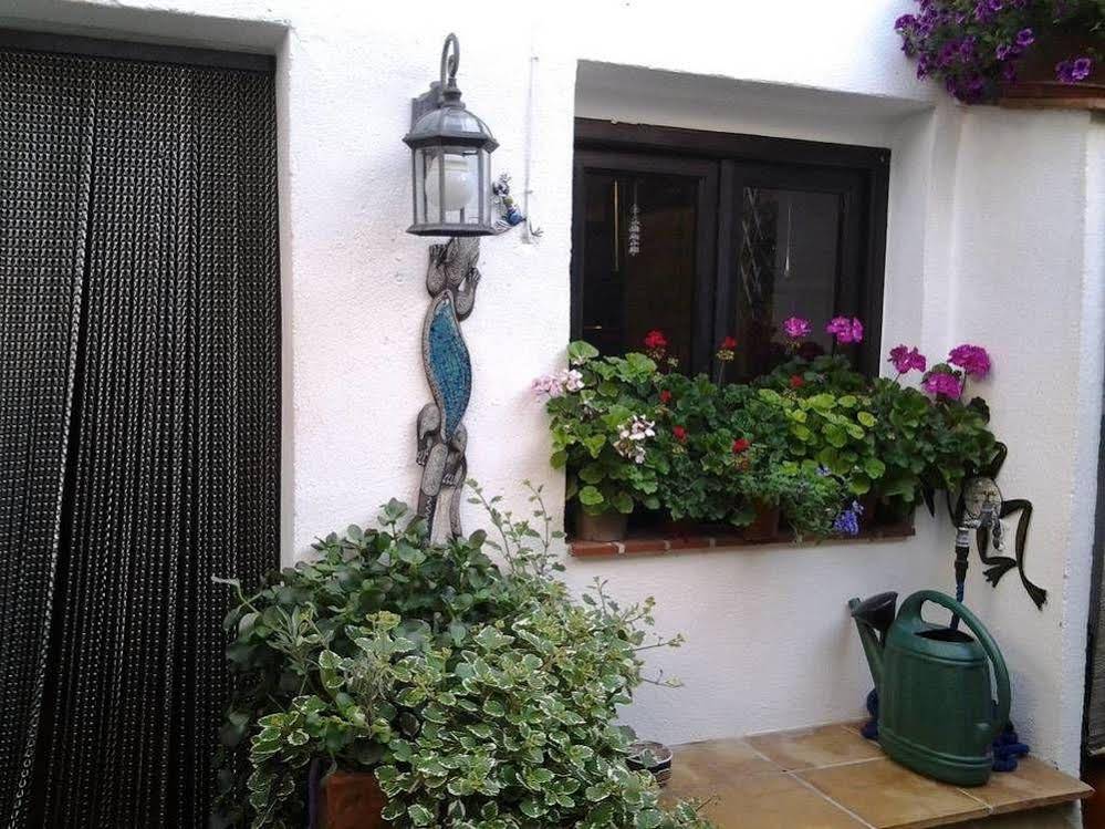 Casa Les Olives