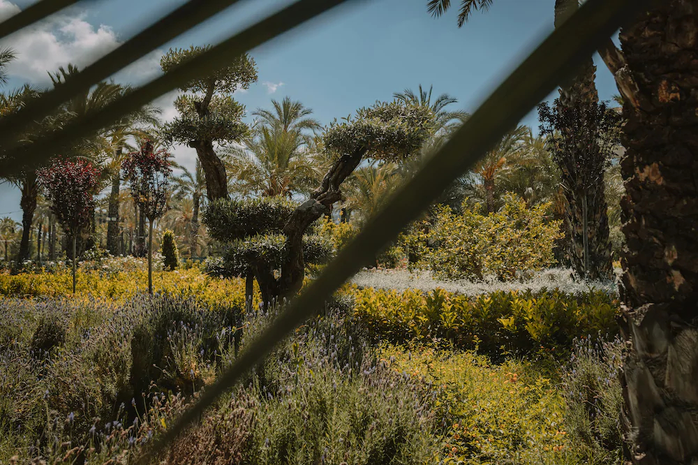 Hotel Boutique Hort De Nal