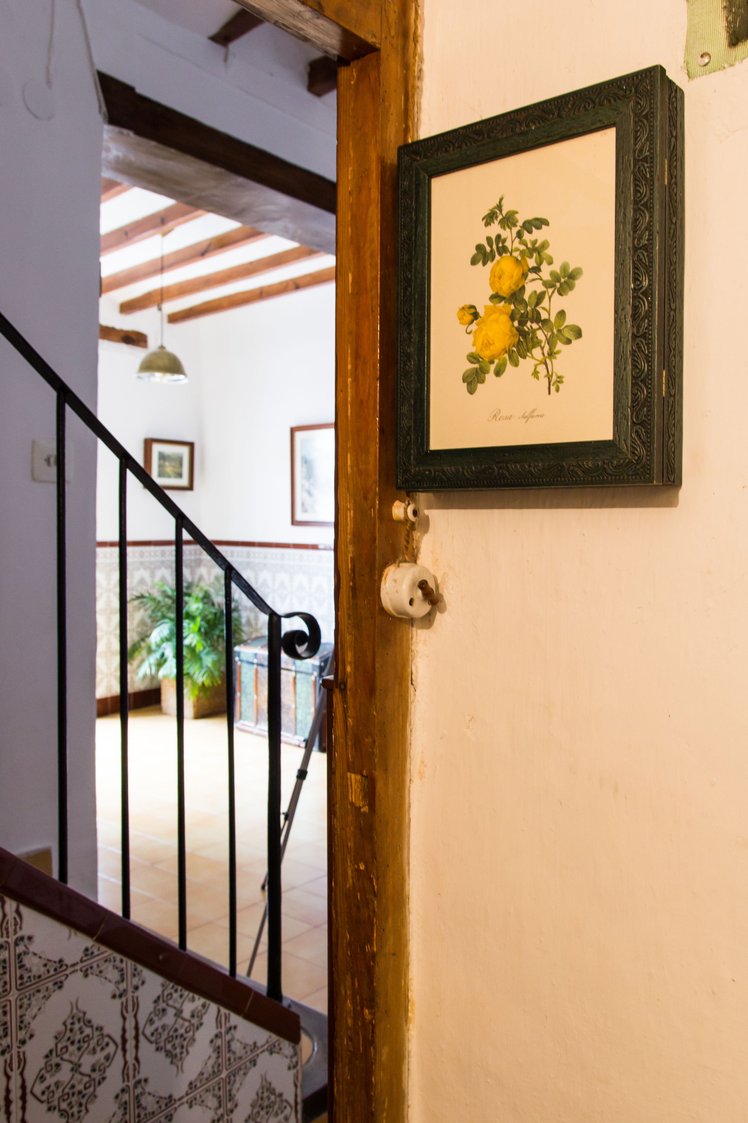 Casa Rosalia
