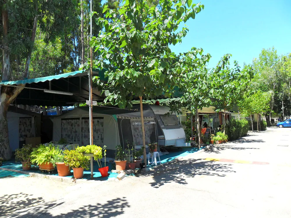 Camping y Bungalows Barraquetes
