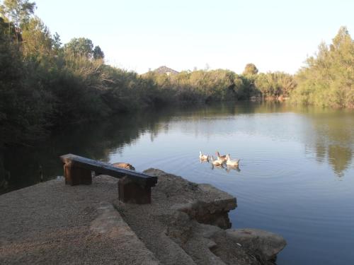 Oasis Country Park