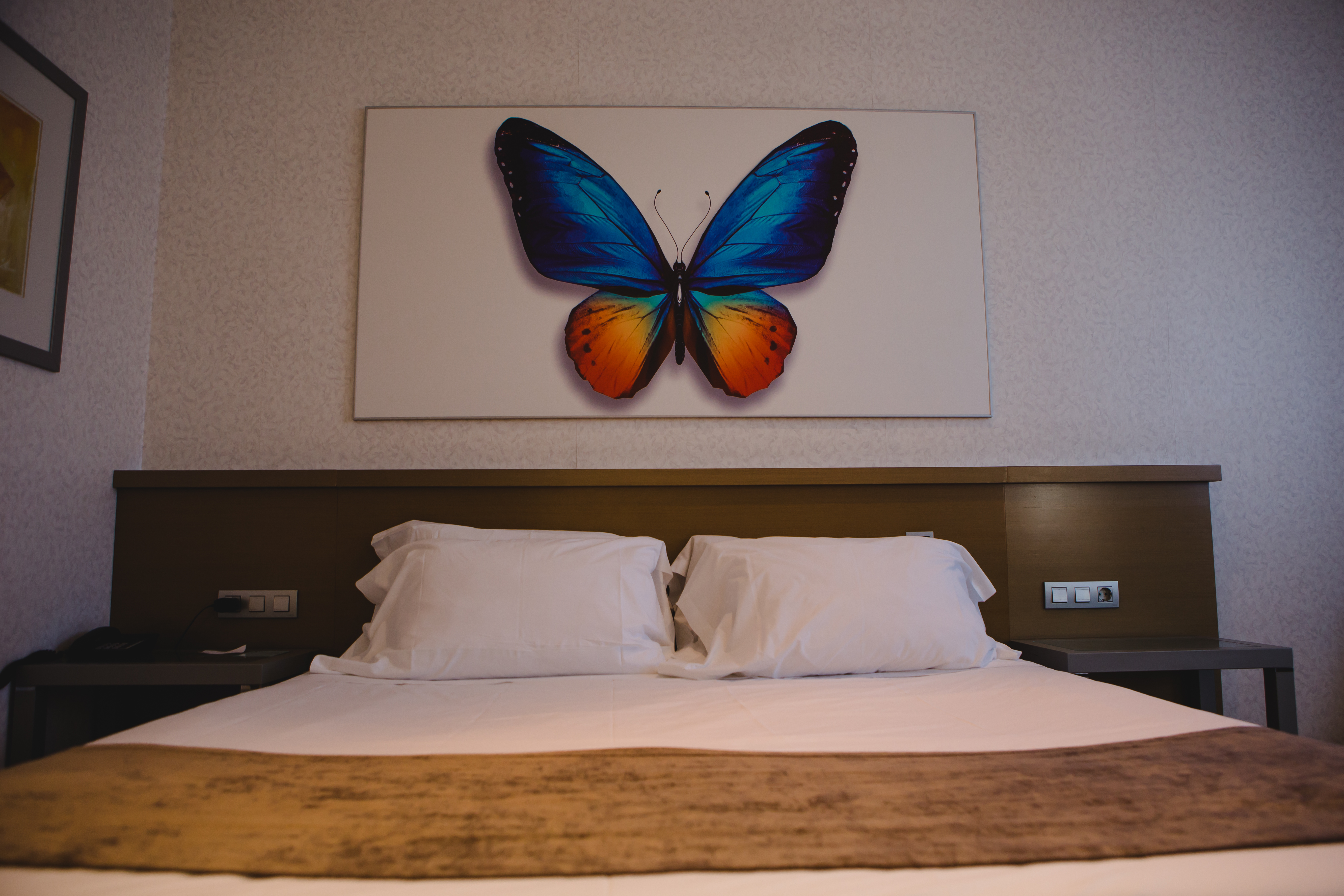 Hotel Mas Camarena