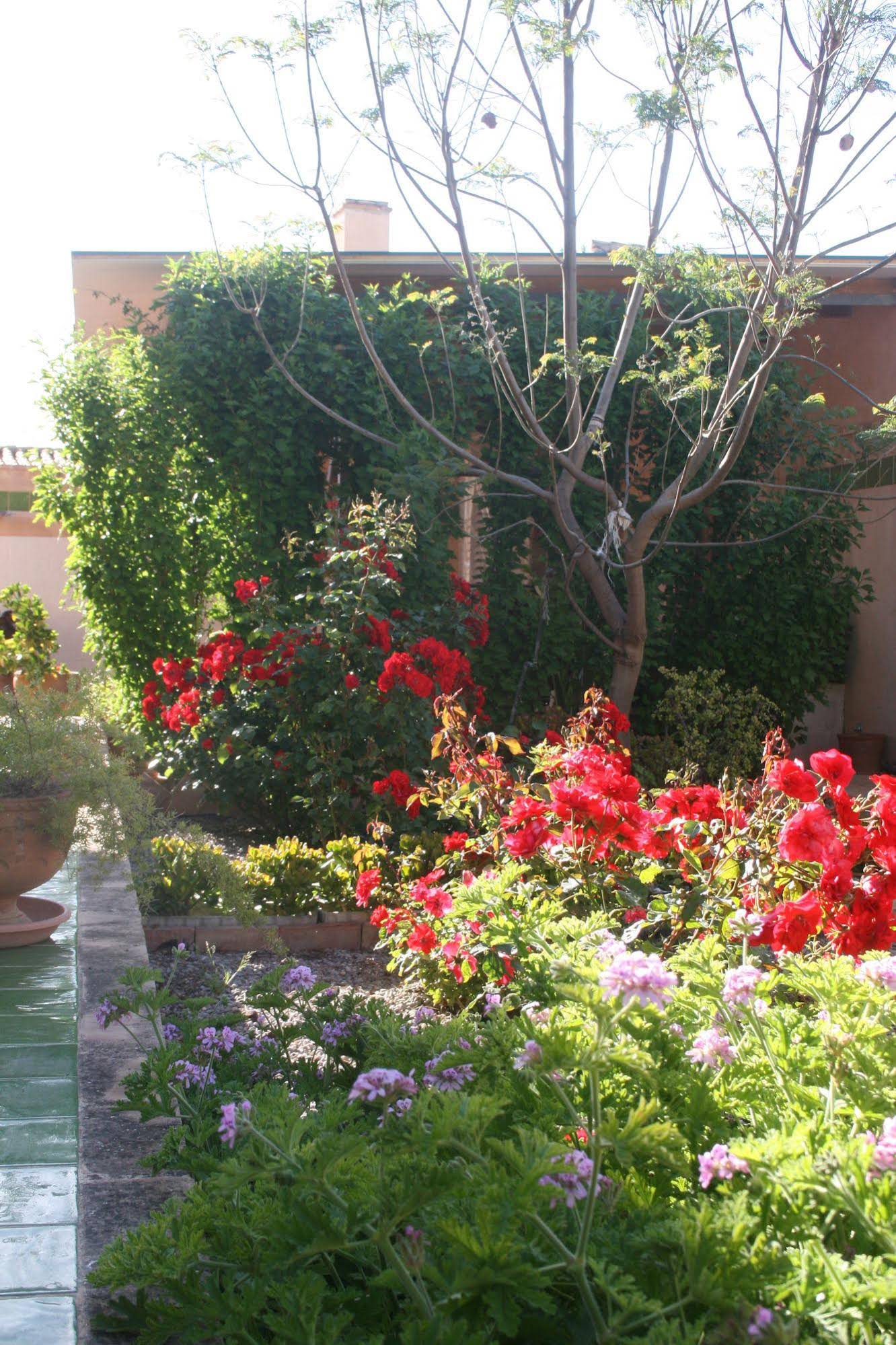 Valencia Country House