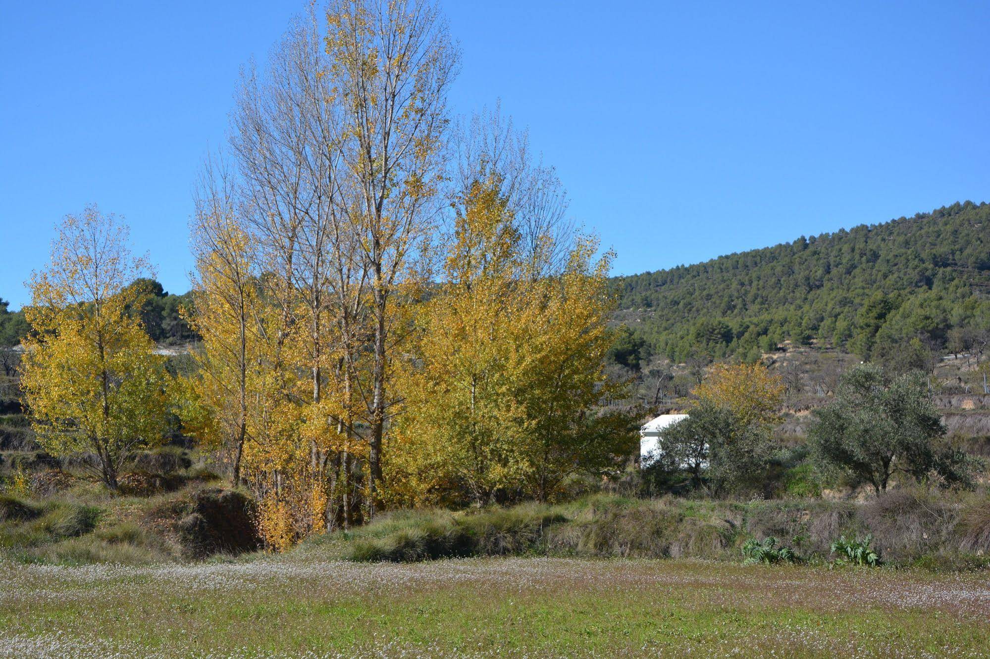 Finca Seguró Resort & Bodega