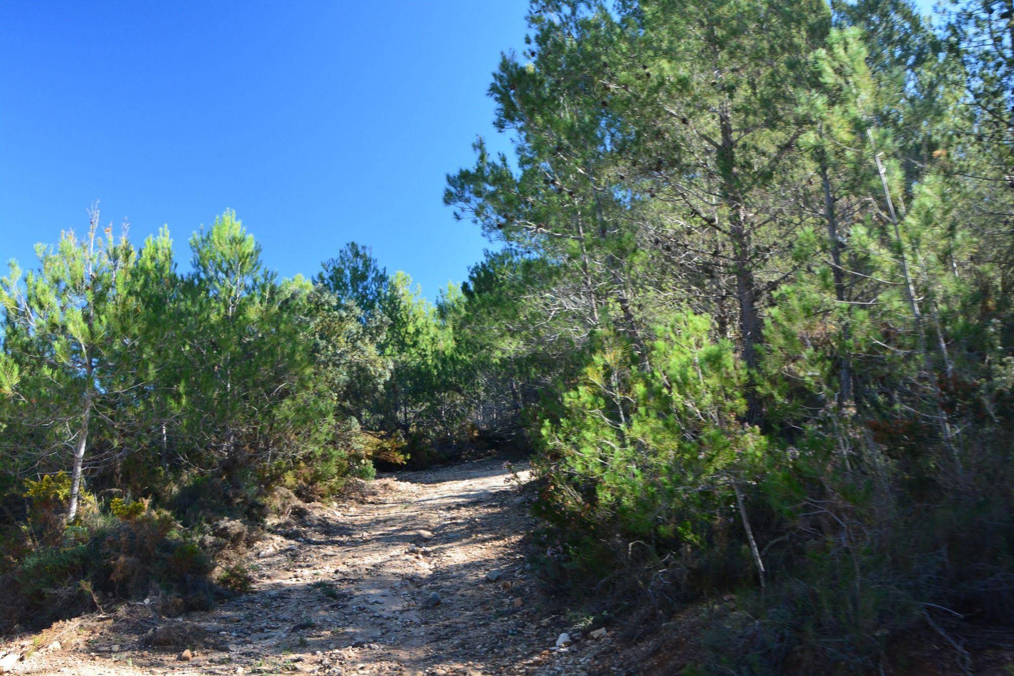 Finca Seguró Resort & Bodega