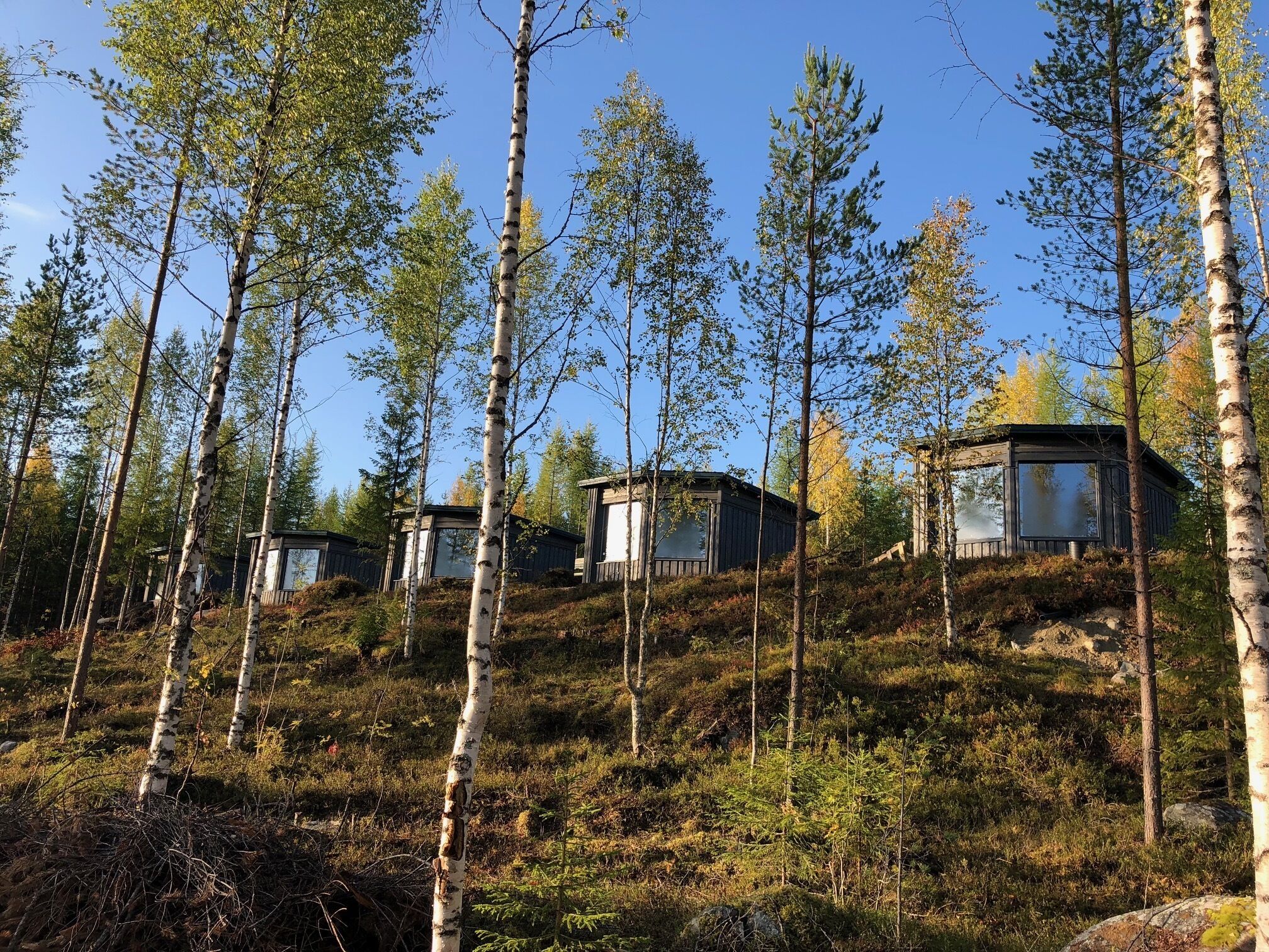 Bear Centre