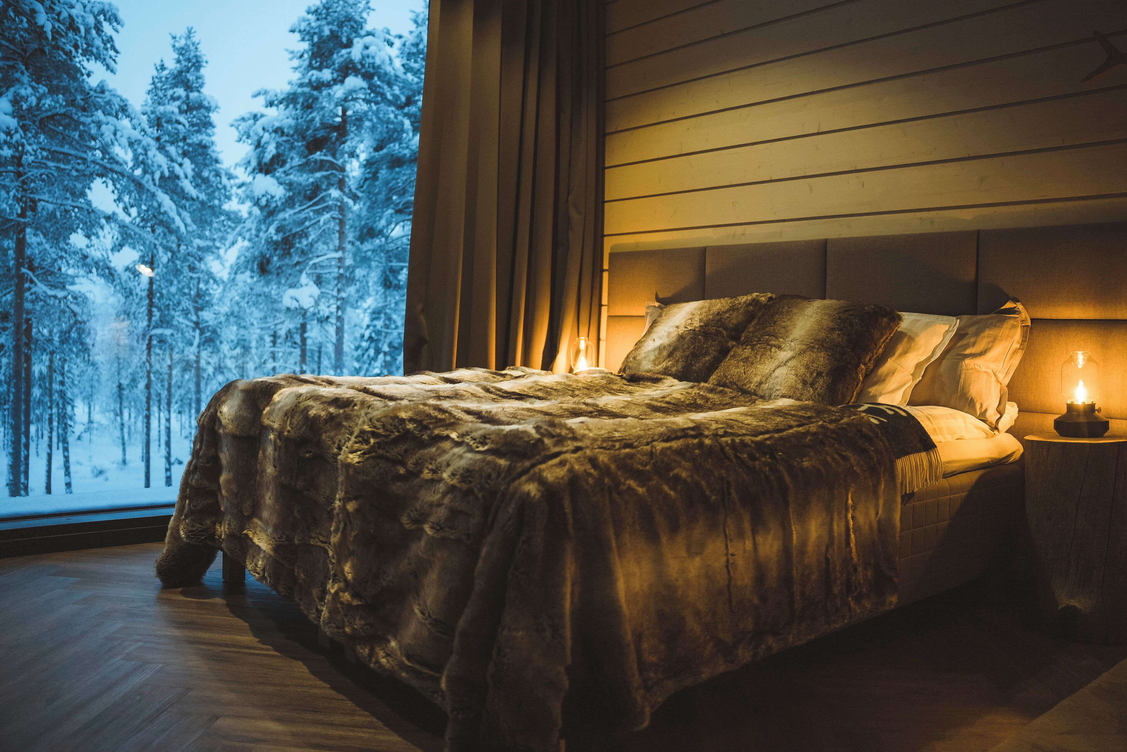 Invisible Forest Lodge