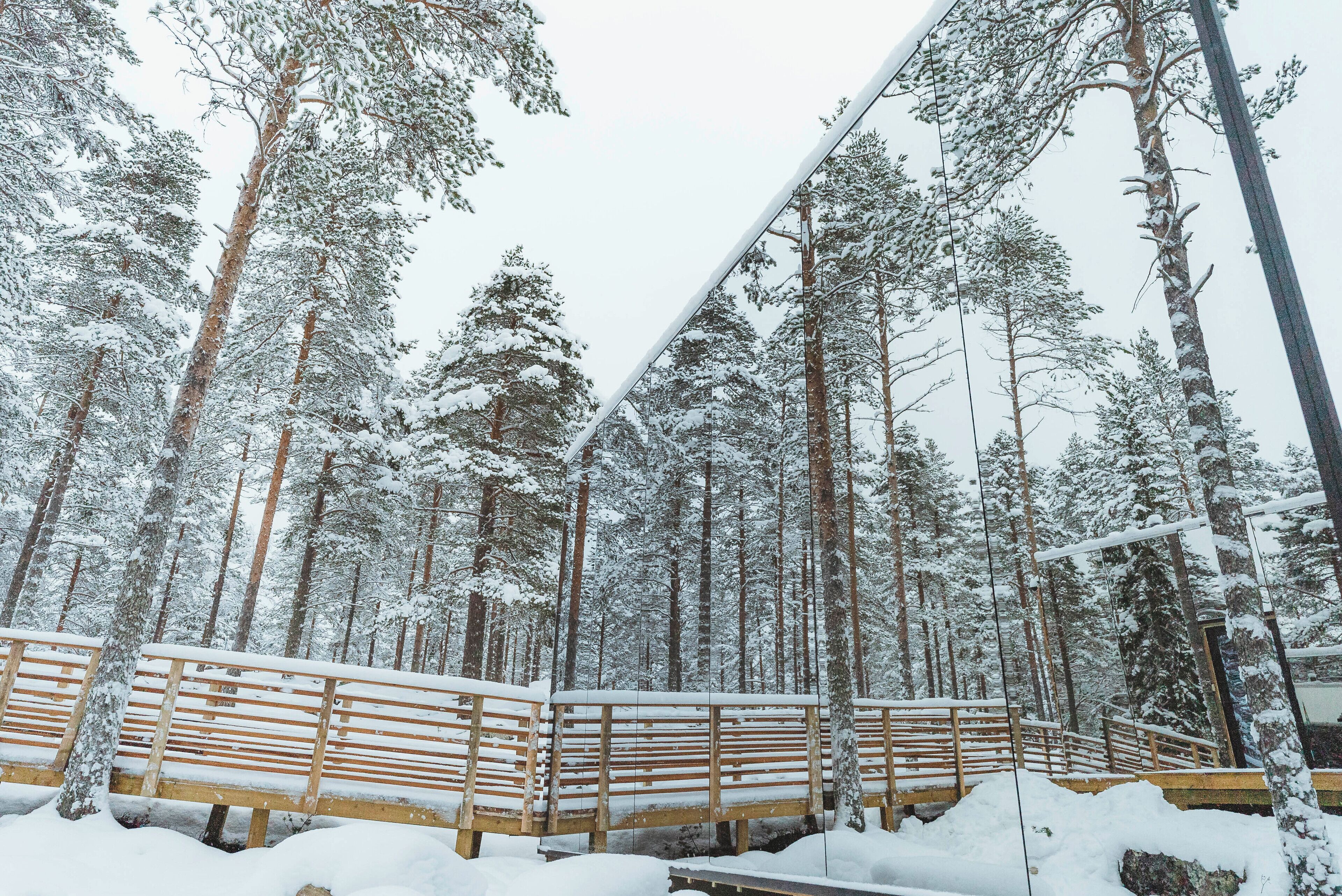 Invisible Forest Lodge
