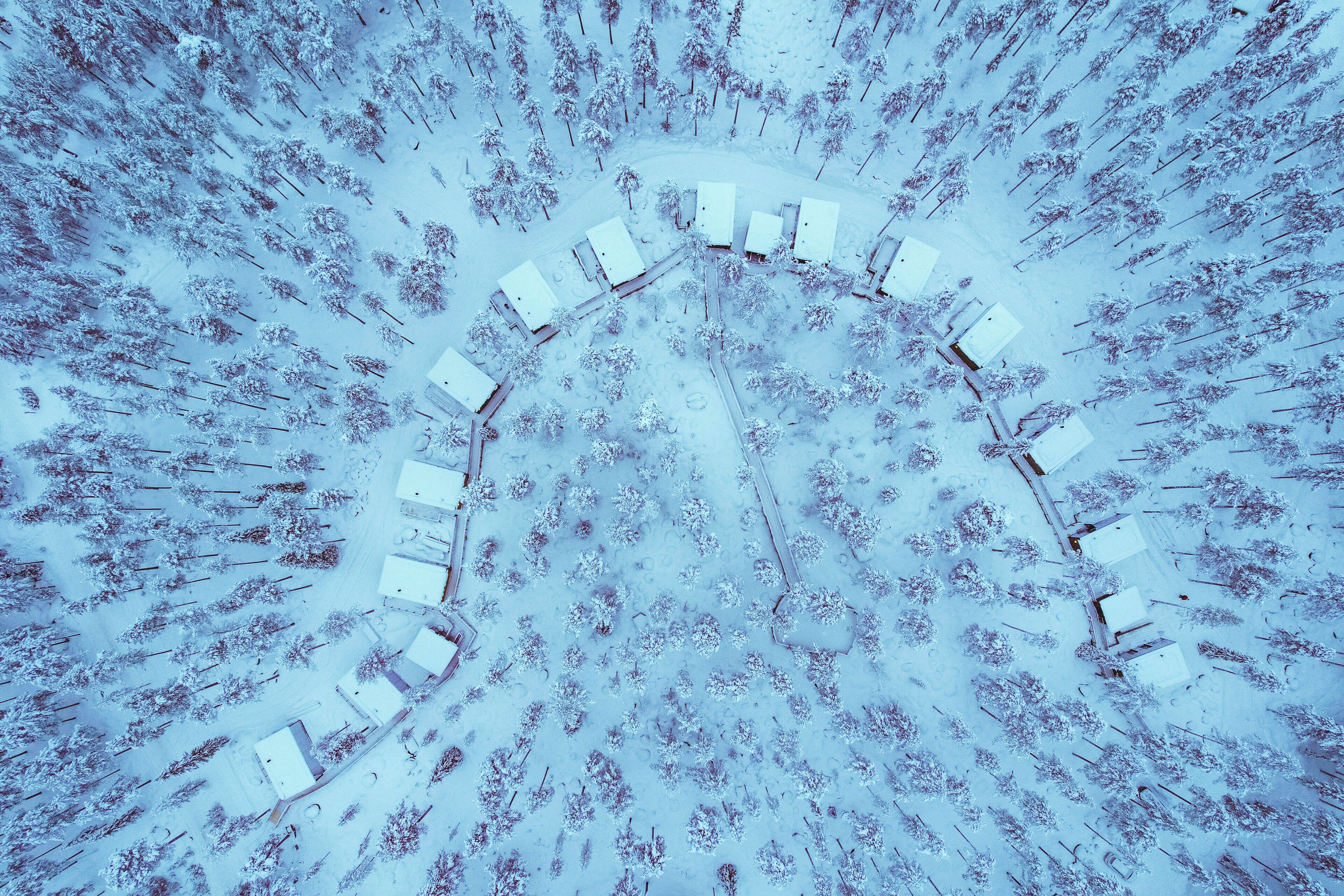 Invisible Forest Lodge