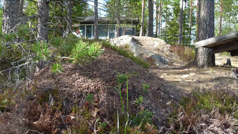Salkolahti Tikkamaki