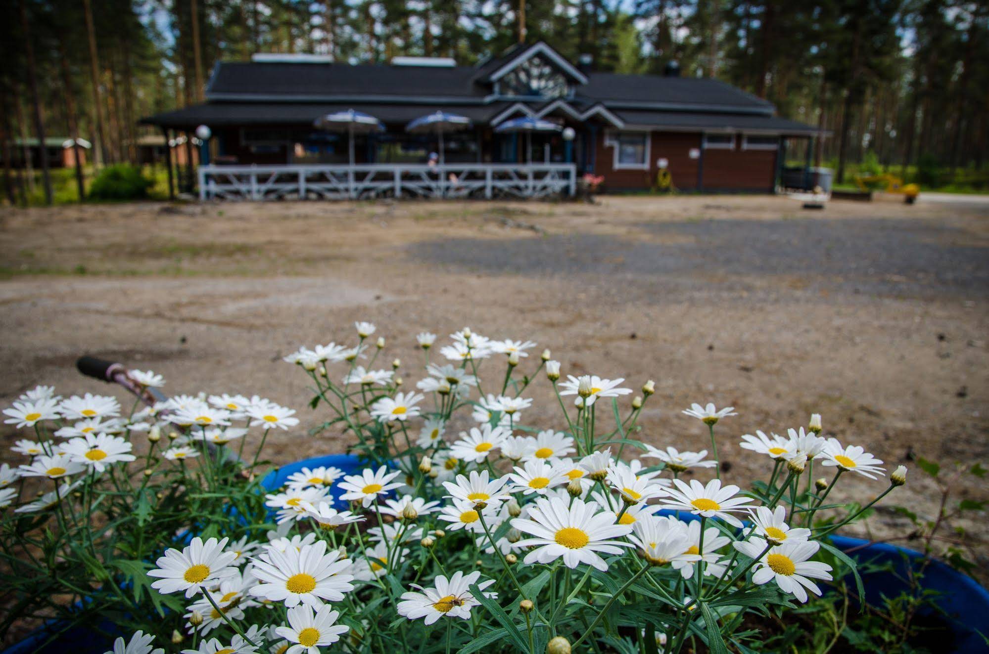 Ahvenlampi Camping