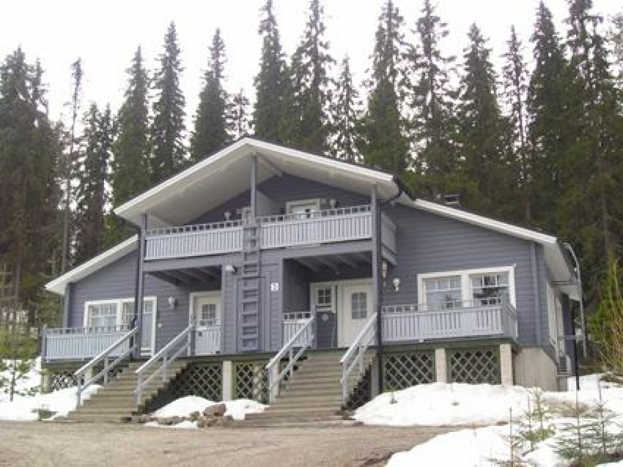 Sinivuokko