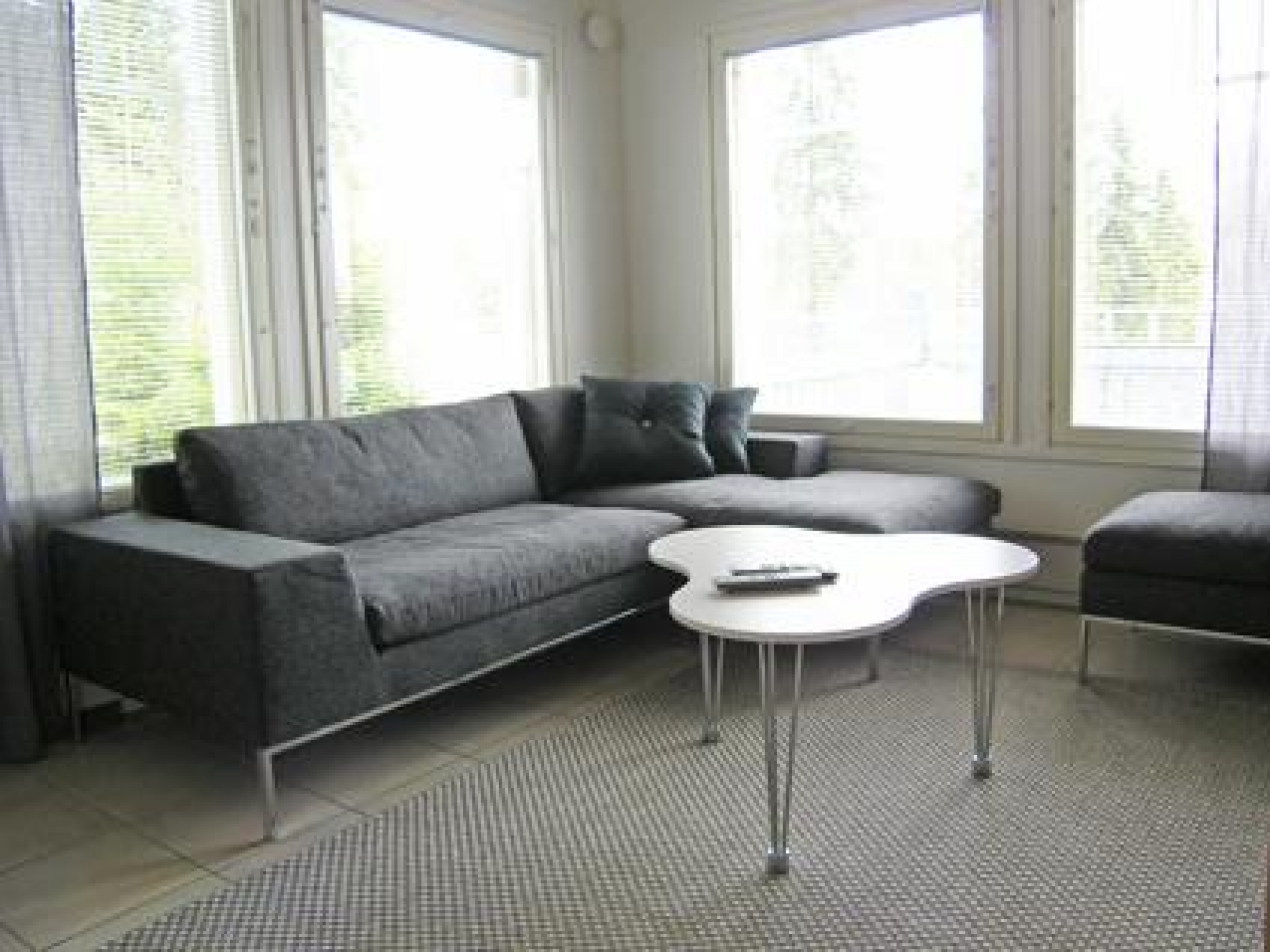 Sinivuokko